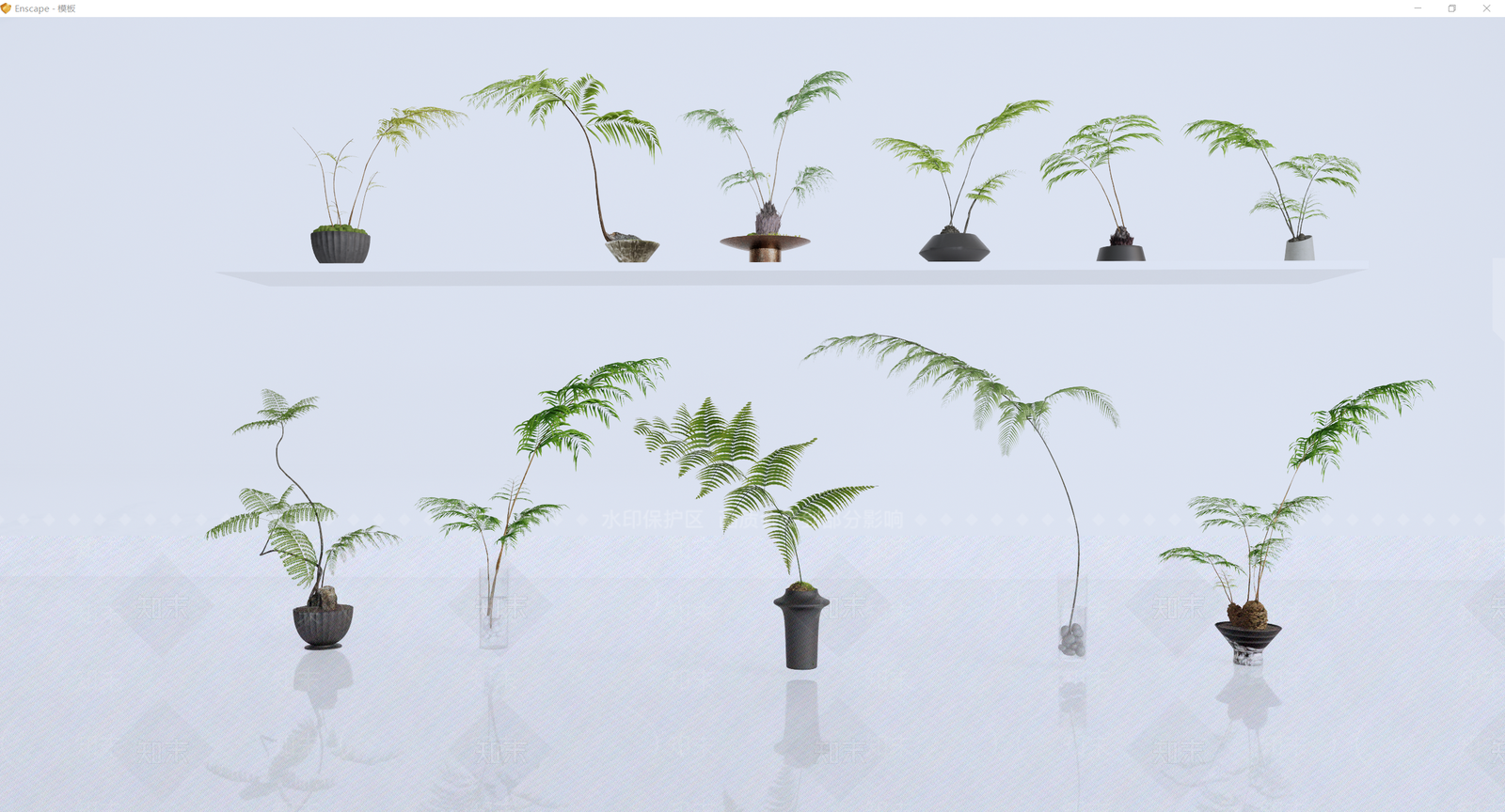 蕨类植物SU模型下载【ID:1136734070】