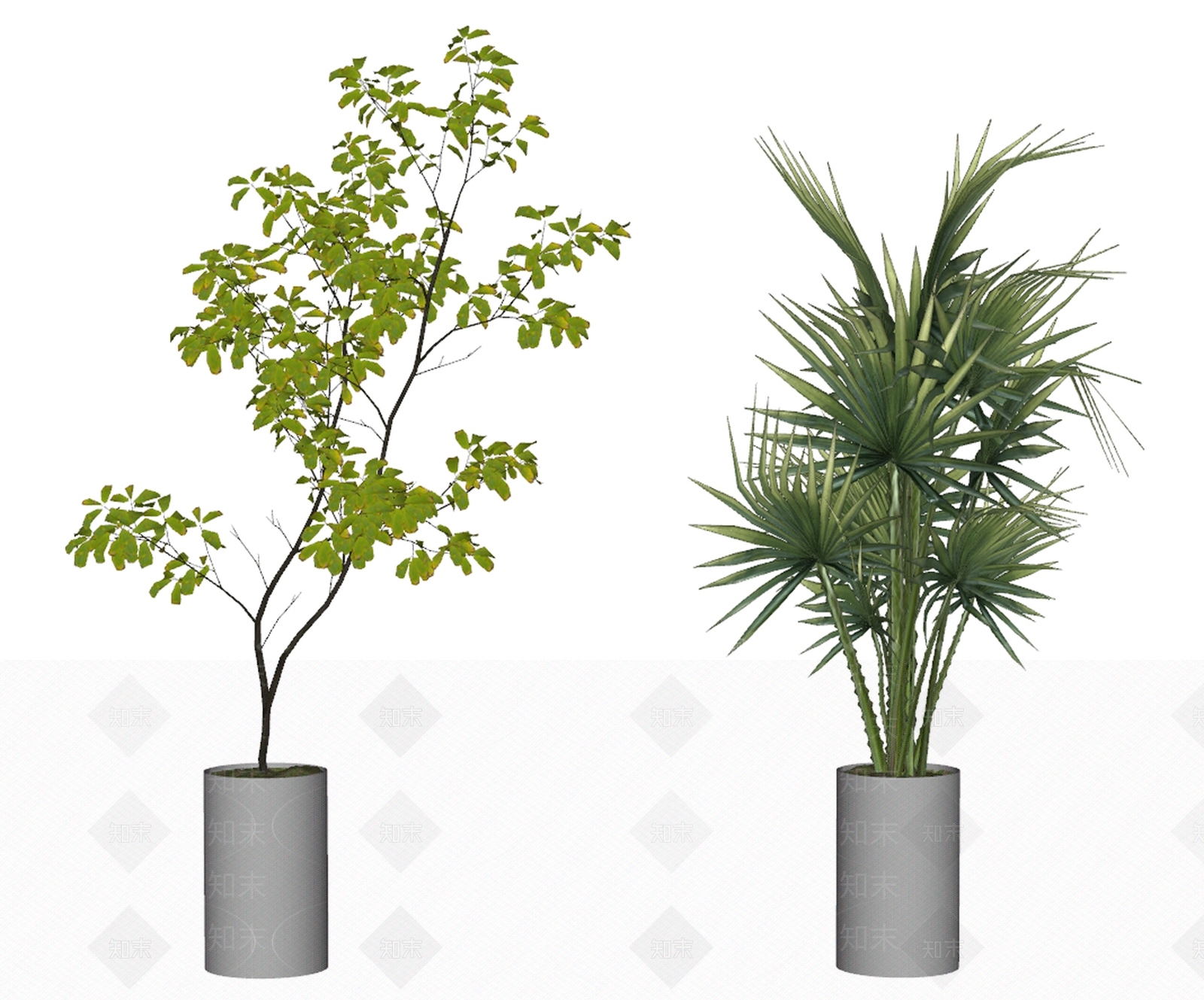 植物盆栽SU模型下载【ID:1136814953】_知末su模型网