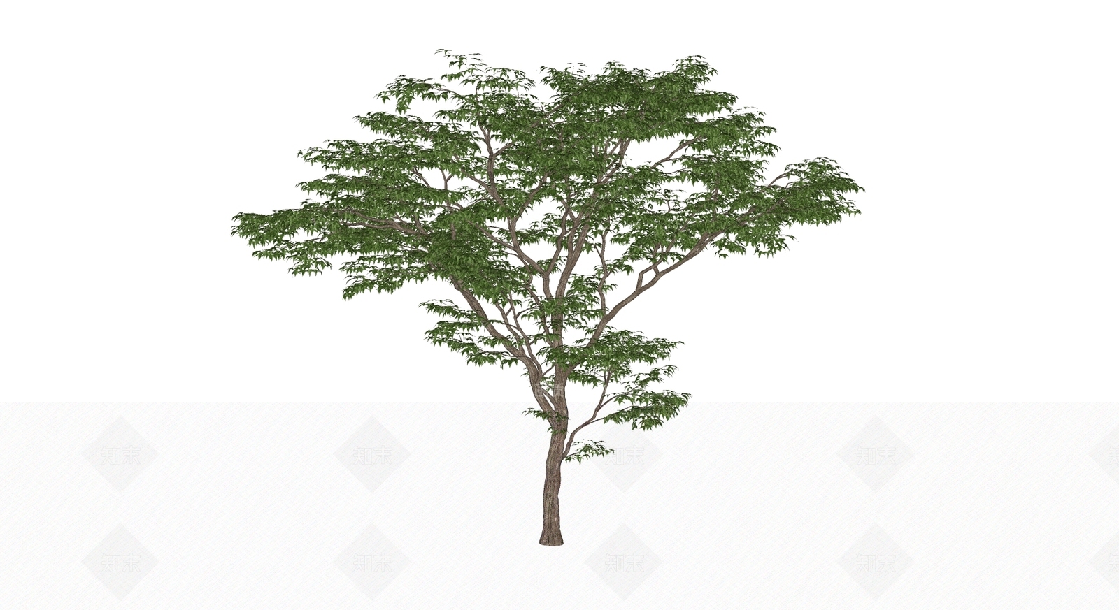 乔木SU模型下载【ID:1136818659】
