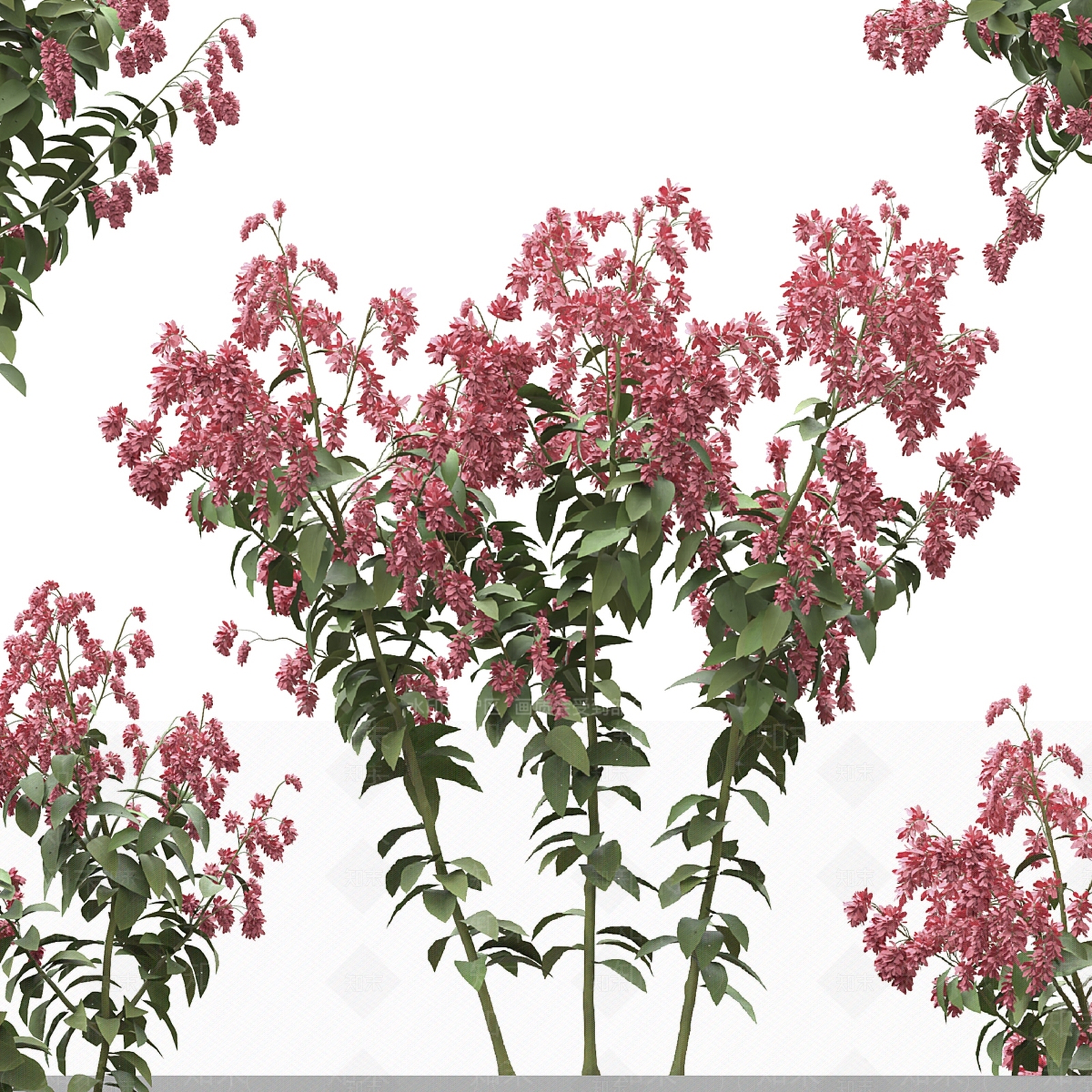 花3D模型下载【ID:1136847216】