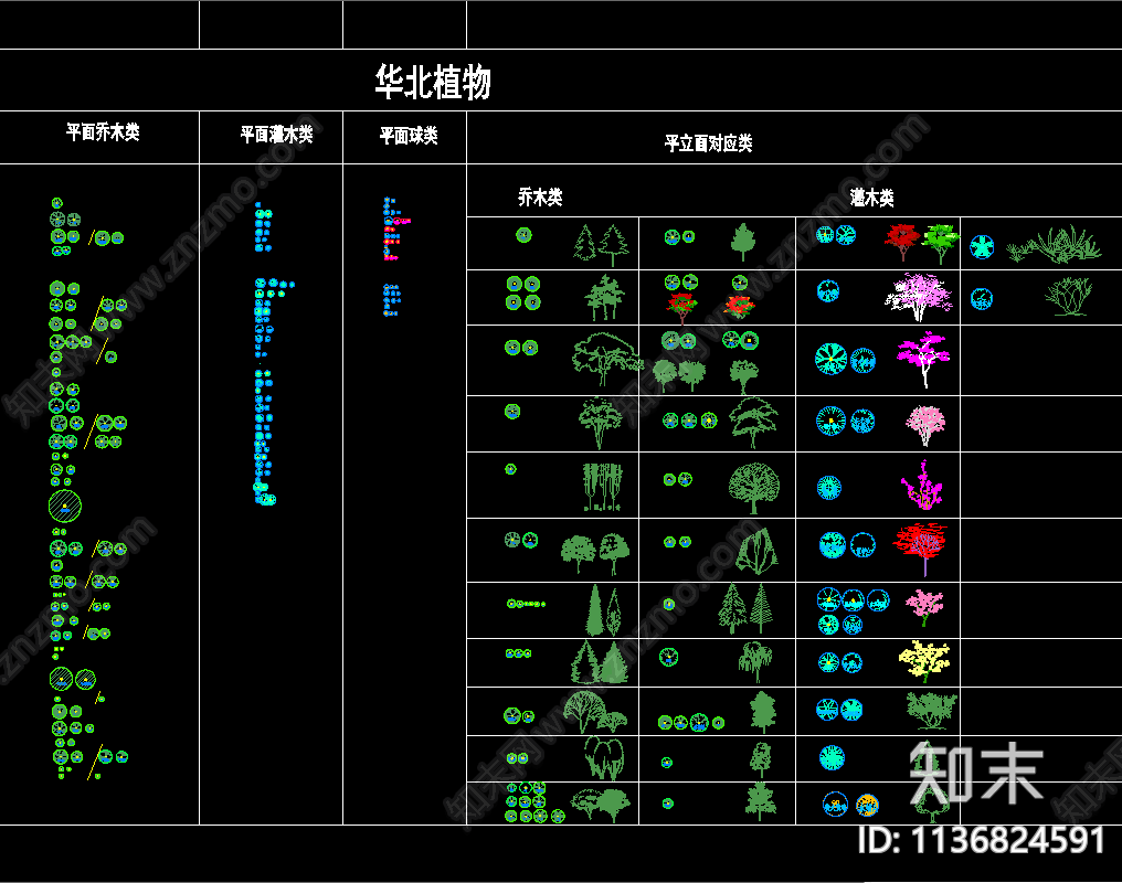 常用植物平立面cad施工图下载【ID:1136824591】