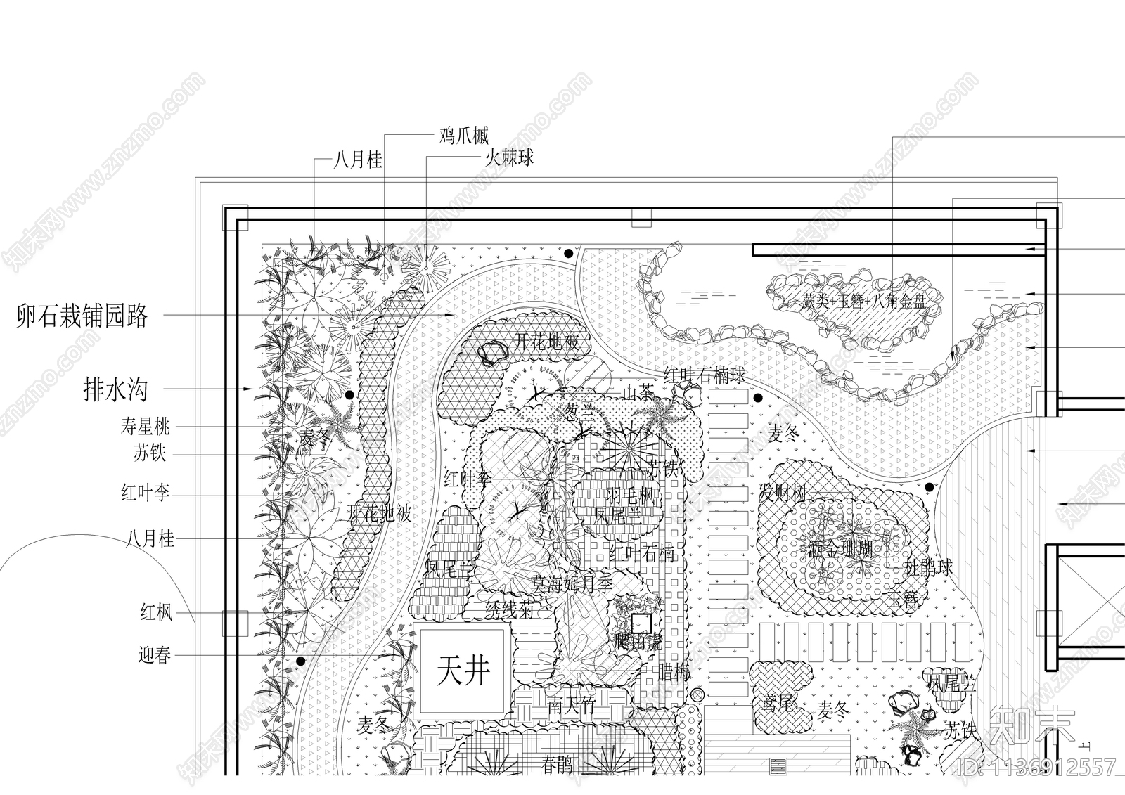 某别墅屋顶花园景观种植平面图cad施工图下载【ID:1136912557】