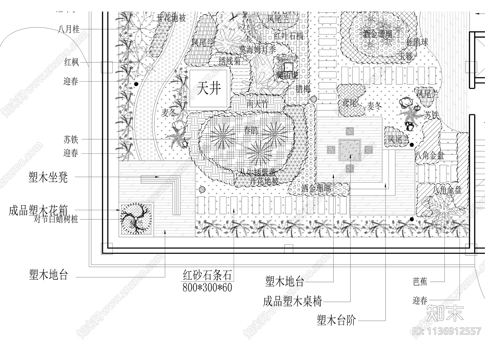 某别墅屋顶花园景观种植平面图cad施工图下载【ID:1136912557】