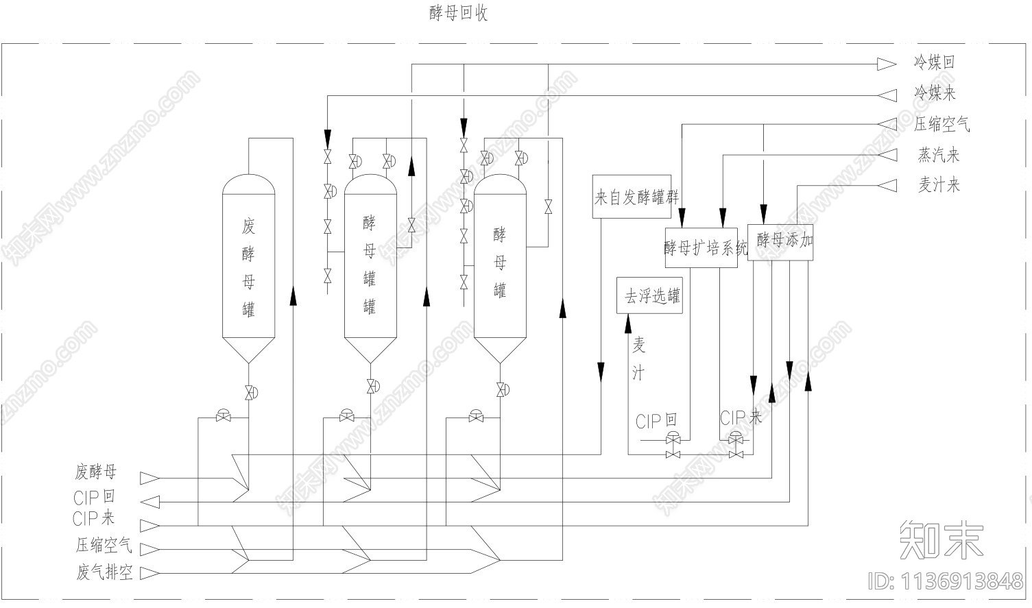 啤酒厂设cad施工图下载【ID:1136913848】