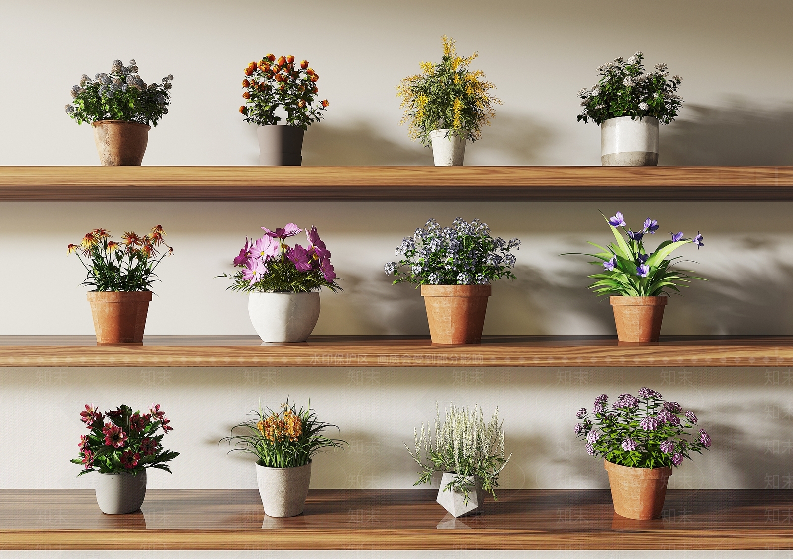 花卉盆栽3D模型下载【ID:1136953004】