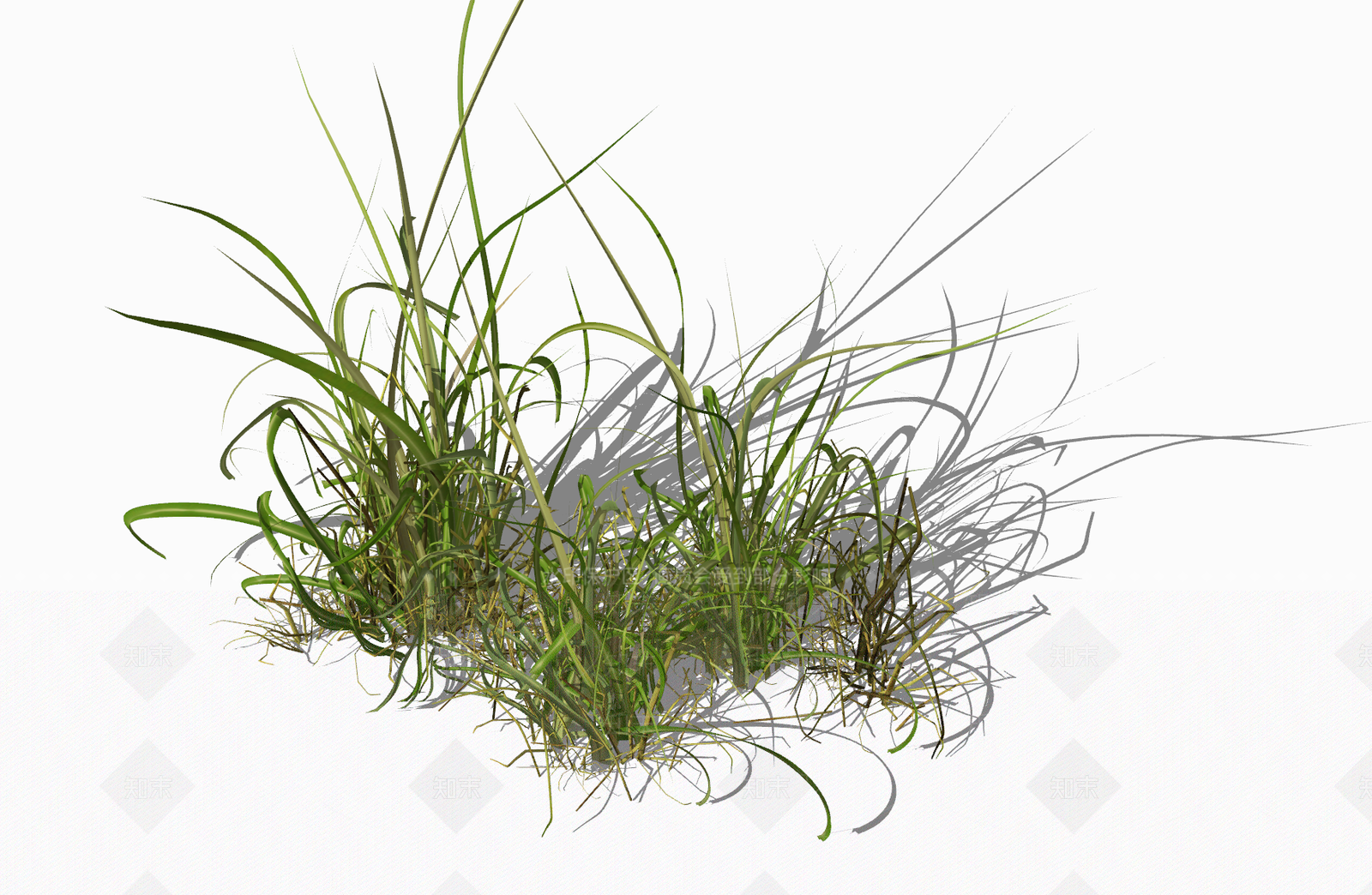 超精致草地SU模型下载【ID:1136978091】