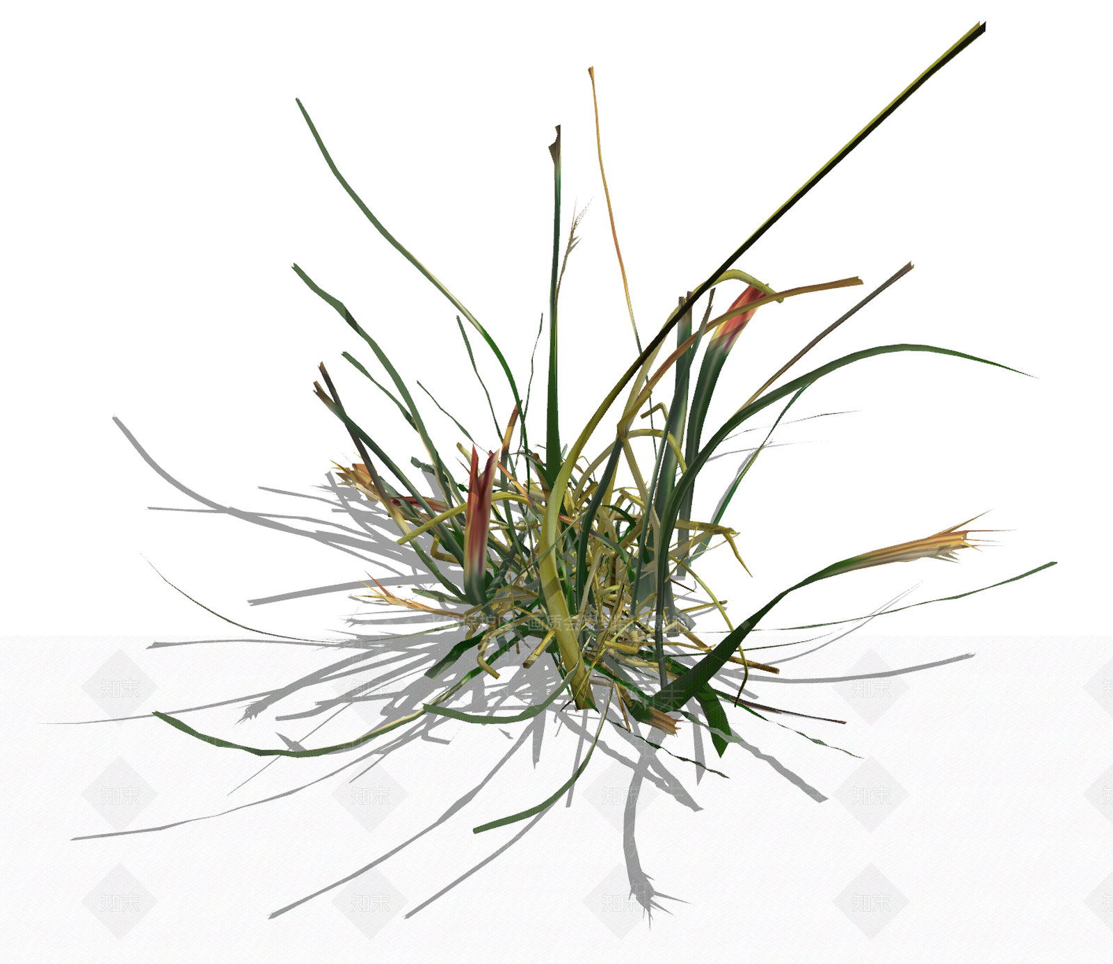 超精致草地SU模型下载【ID:1136978062】