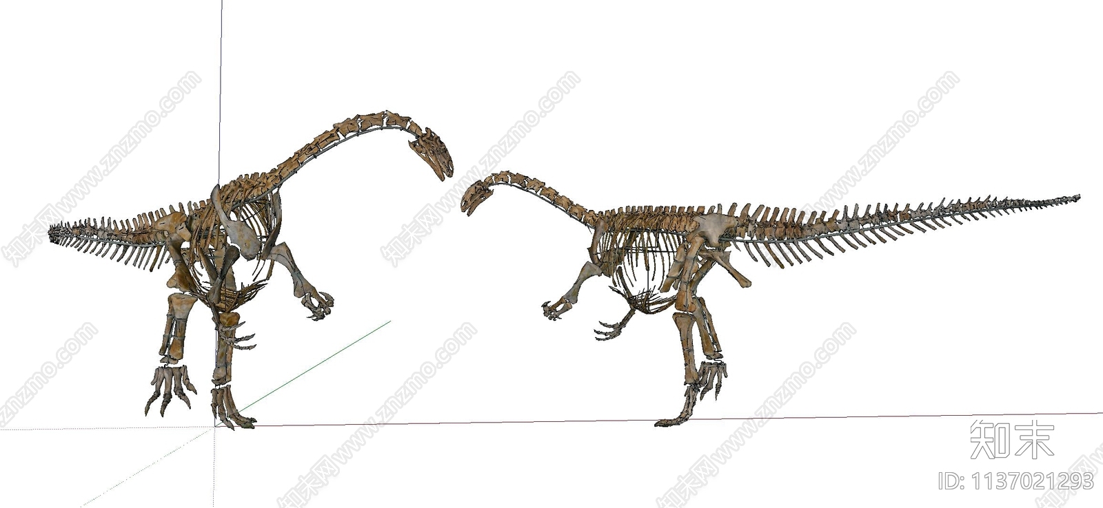 恐龙骨架SU模型下载【ID:1137021293】
