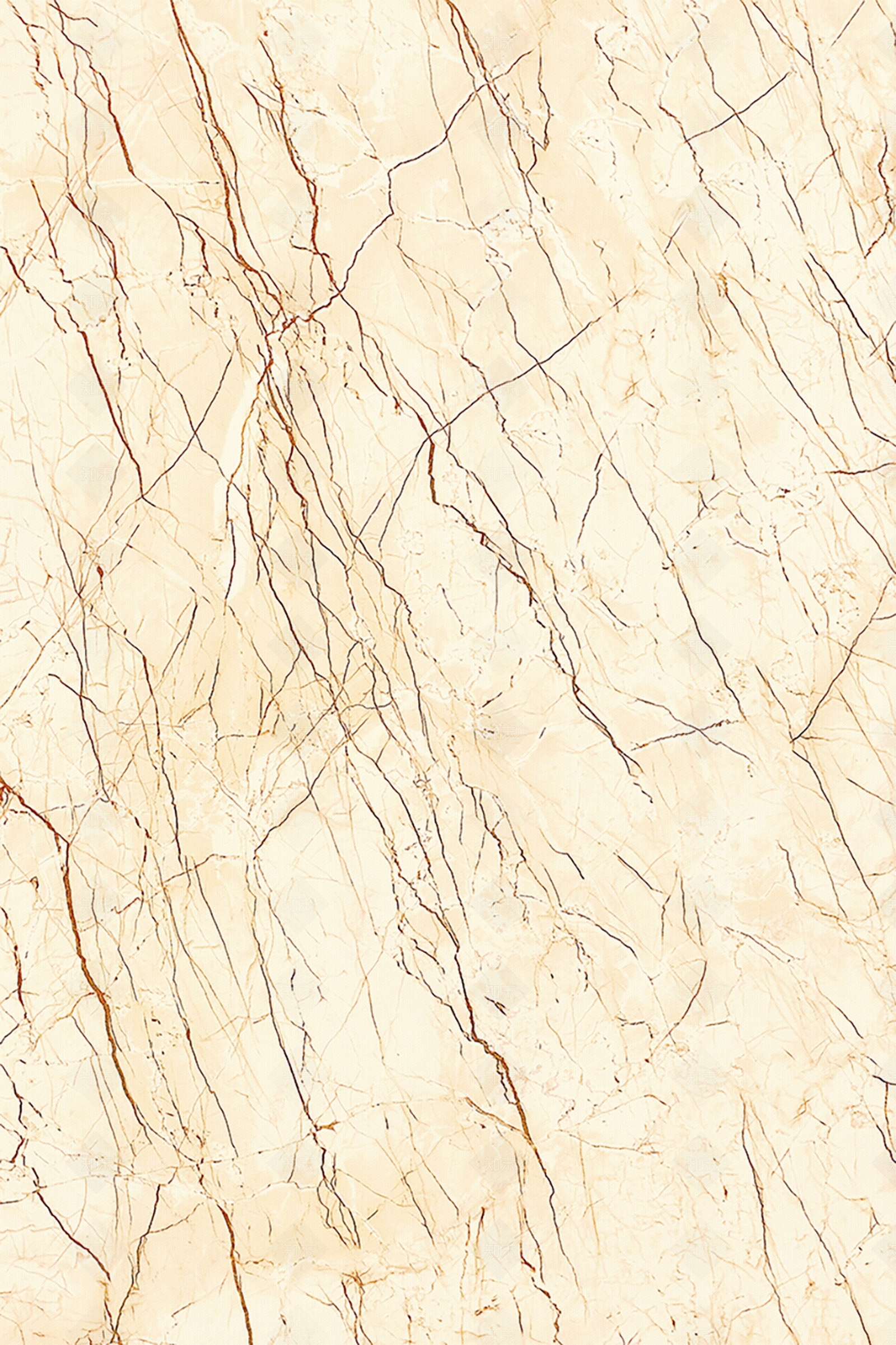 金蜘蛛大理石瓷砖贴图下载【ID:1137026057】