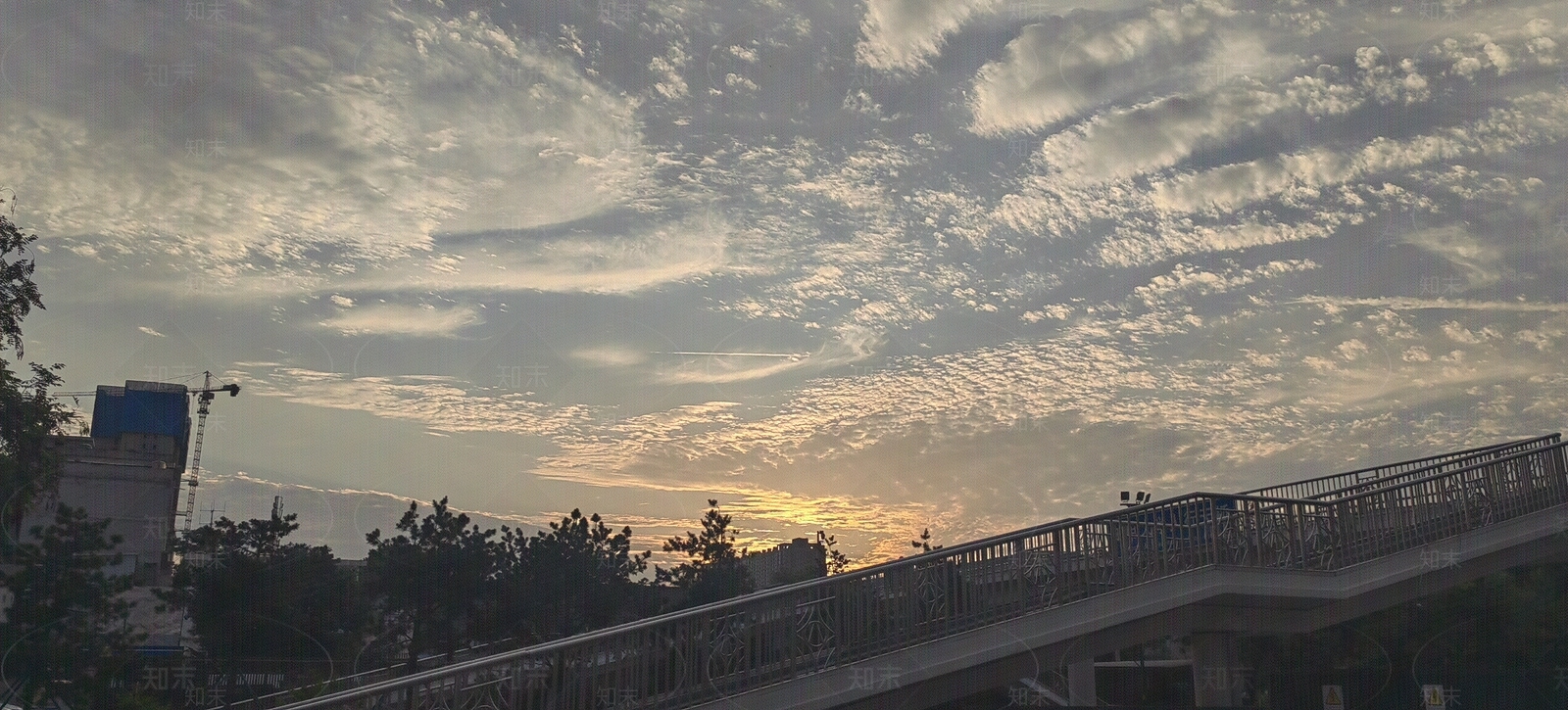 街道外景贴图贴图下载【ID:1137089528】