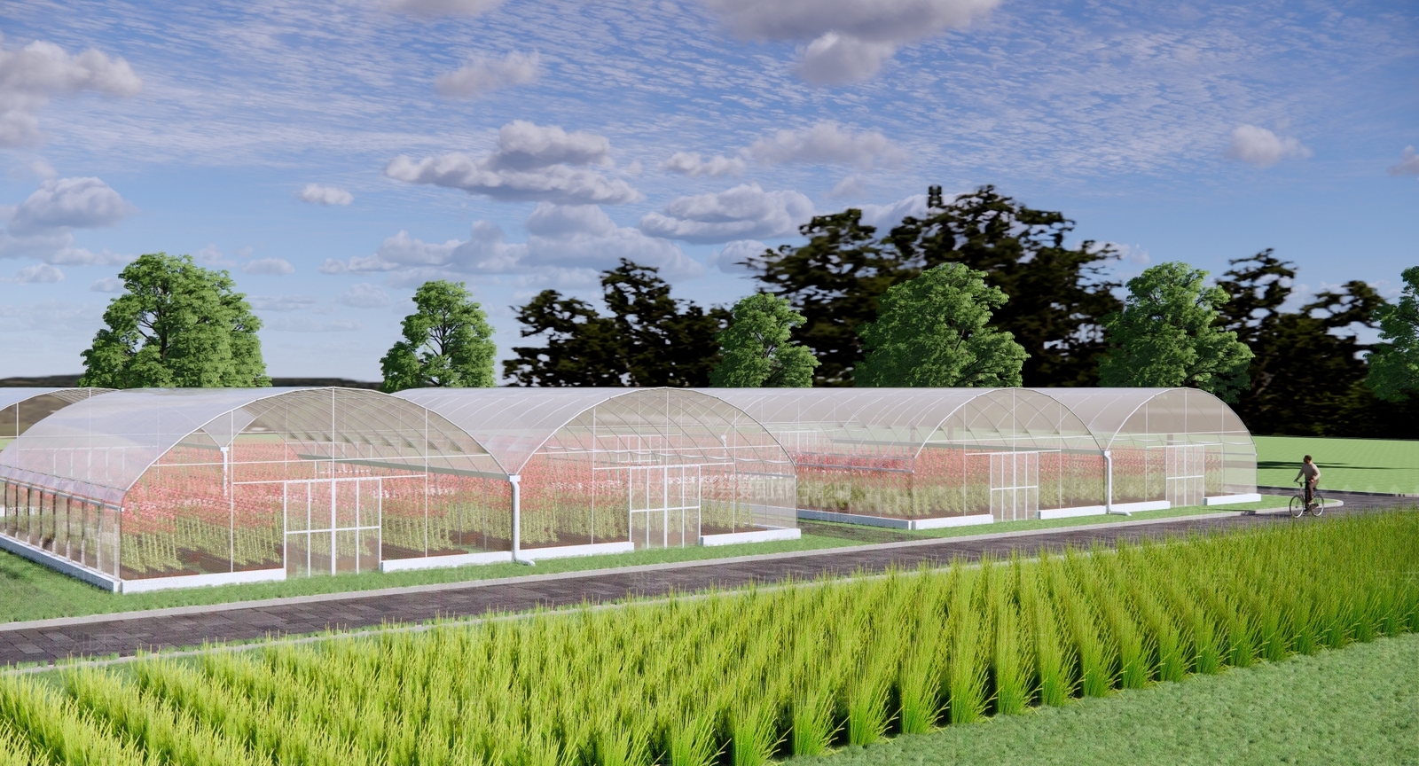 现代农业大棚SU模型下载【ID:1137196179】
