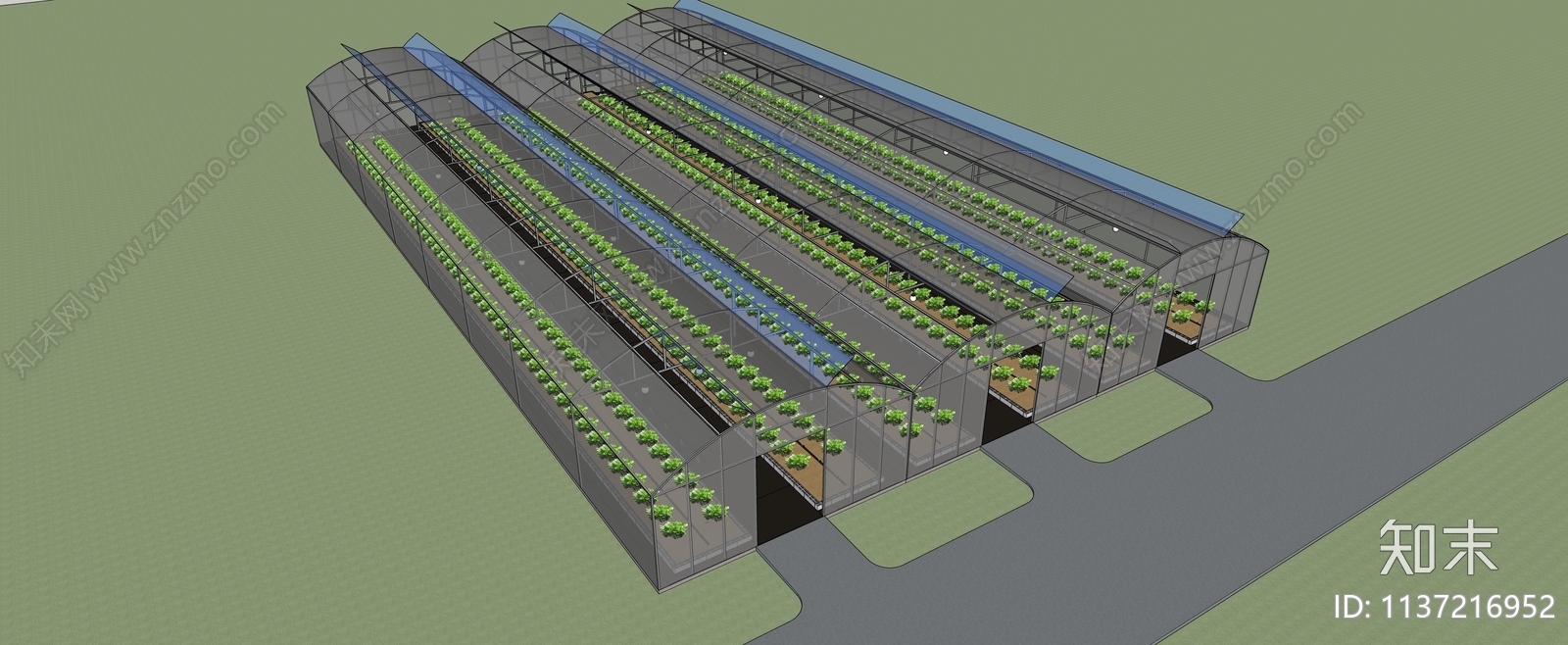 现代农业大棚SU模型下载【ID:1137216952】