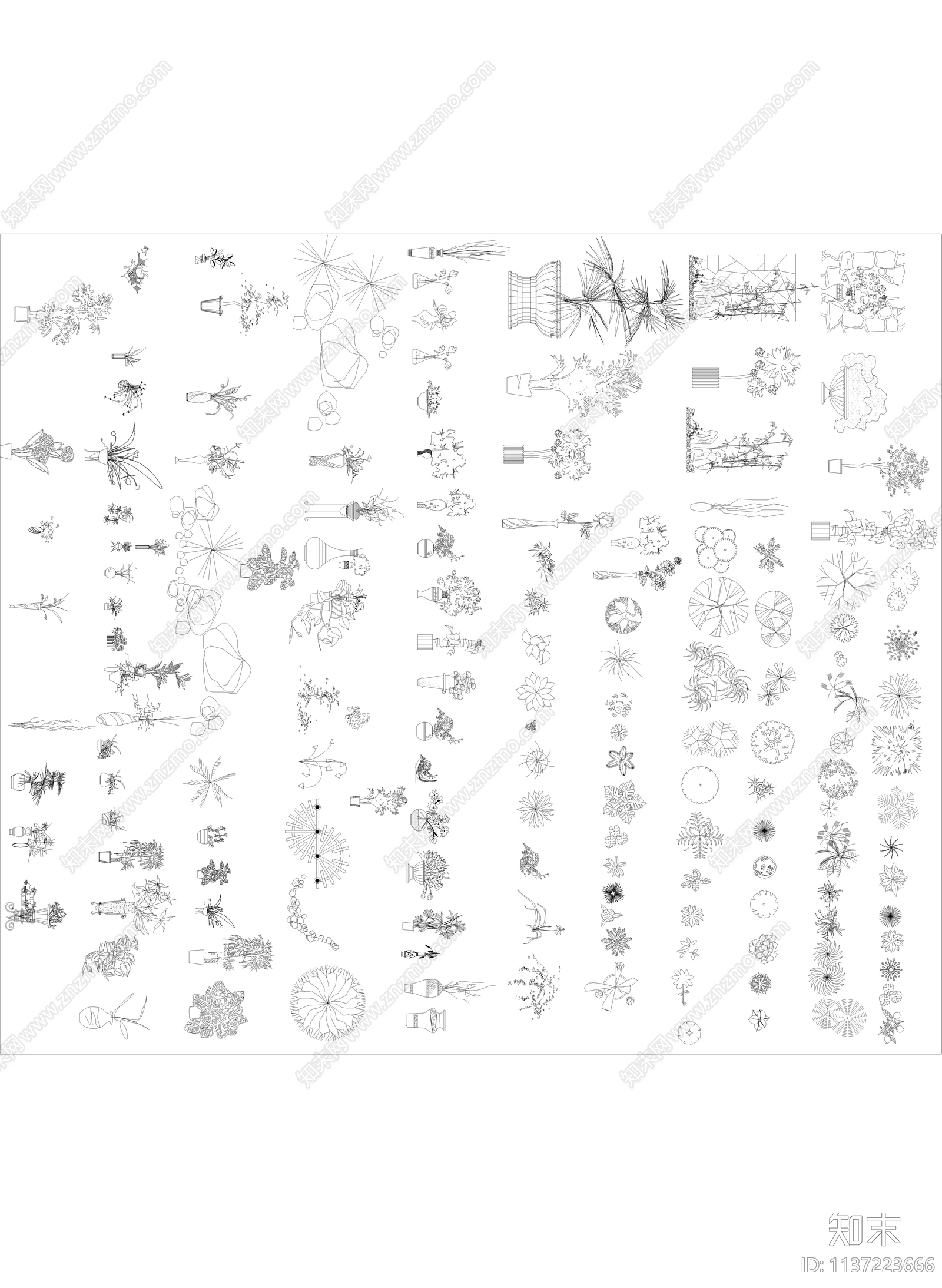 植物平立面cad施工图下载【ID:1137223666】