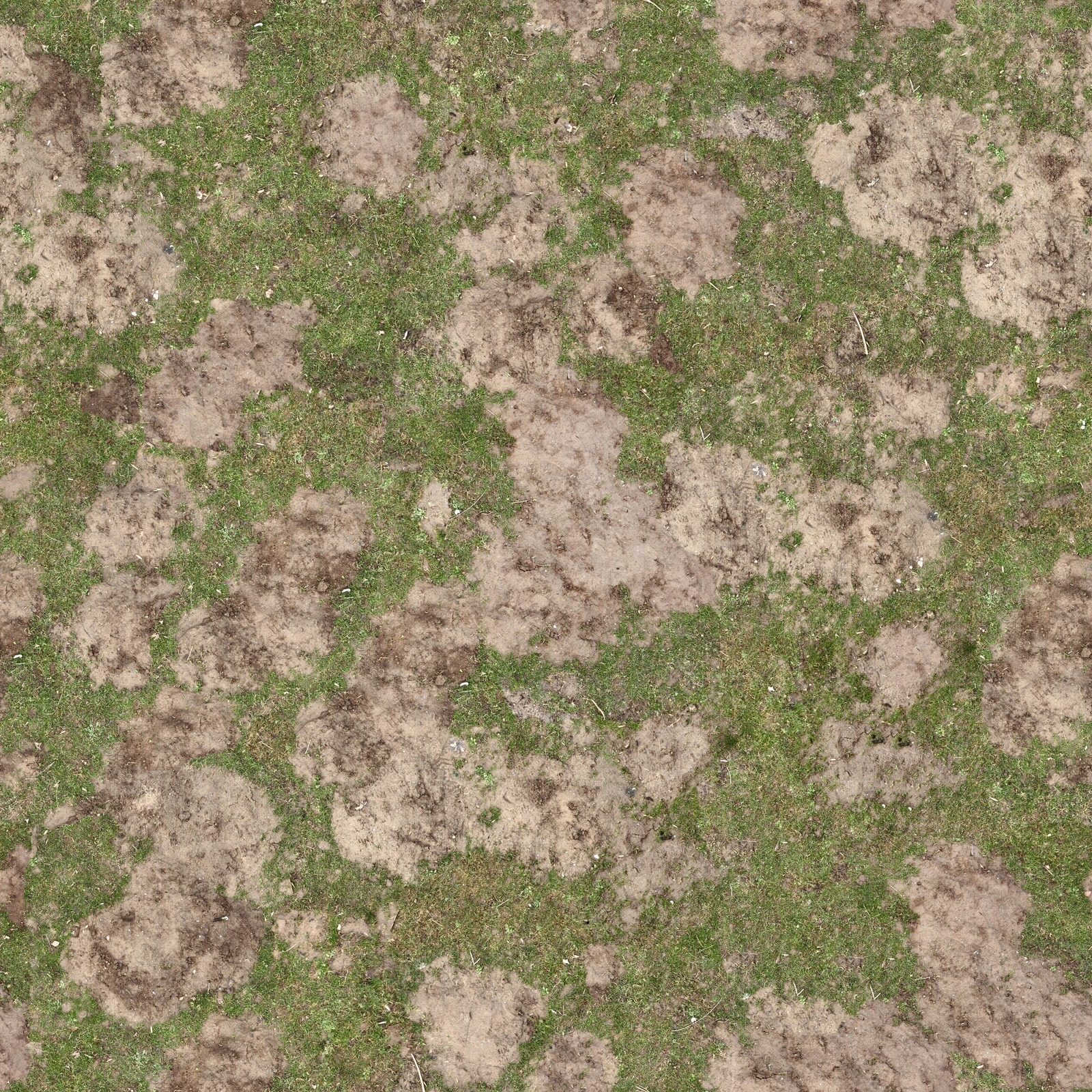 高清自然草地草皮草坪草坡泥土沙土土壤野草植被贴图下载【ID:1137253910】