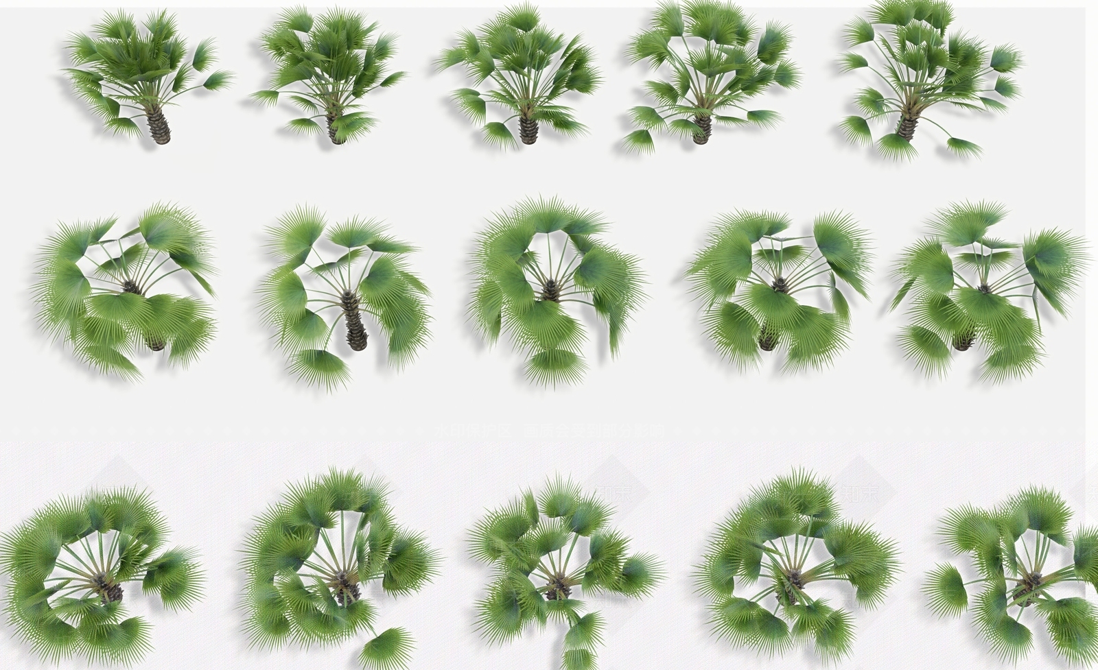 热带棕榈植物树木组合SU模型下载【ID:1137293535】