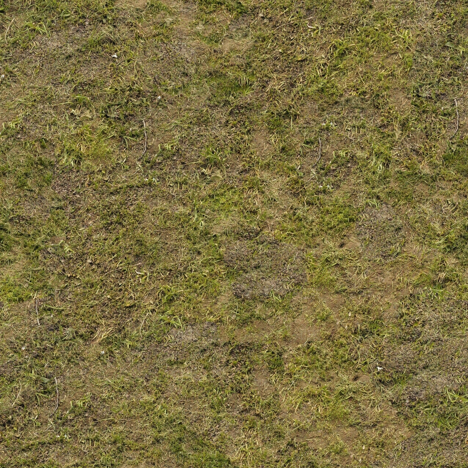 高清草地苔藓草坪泥土沙土泥巴土壤野草自然草皮贴图下载【ID:1137343724】