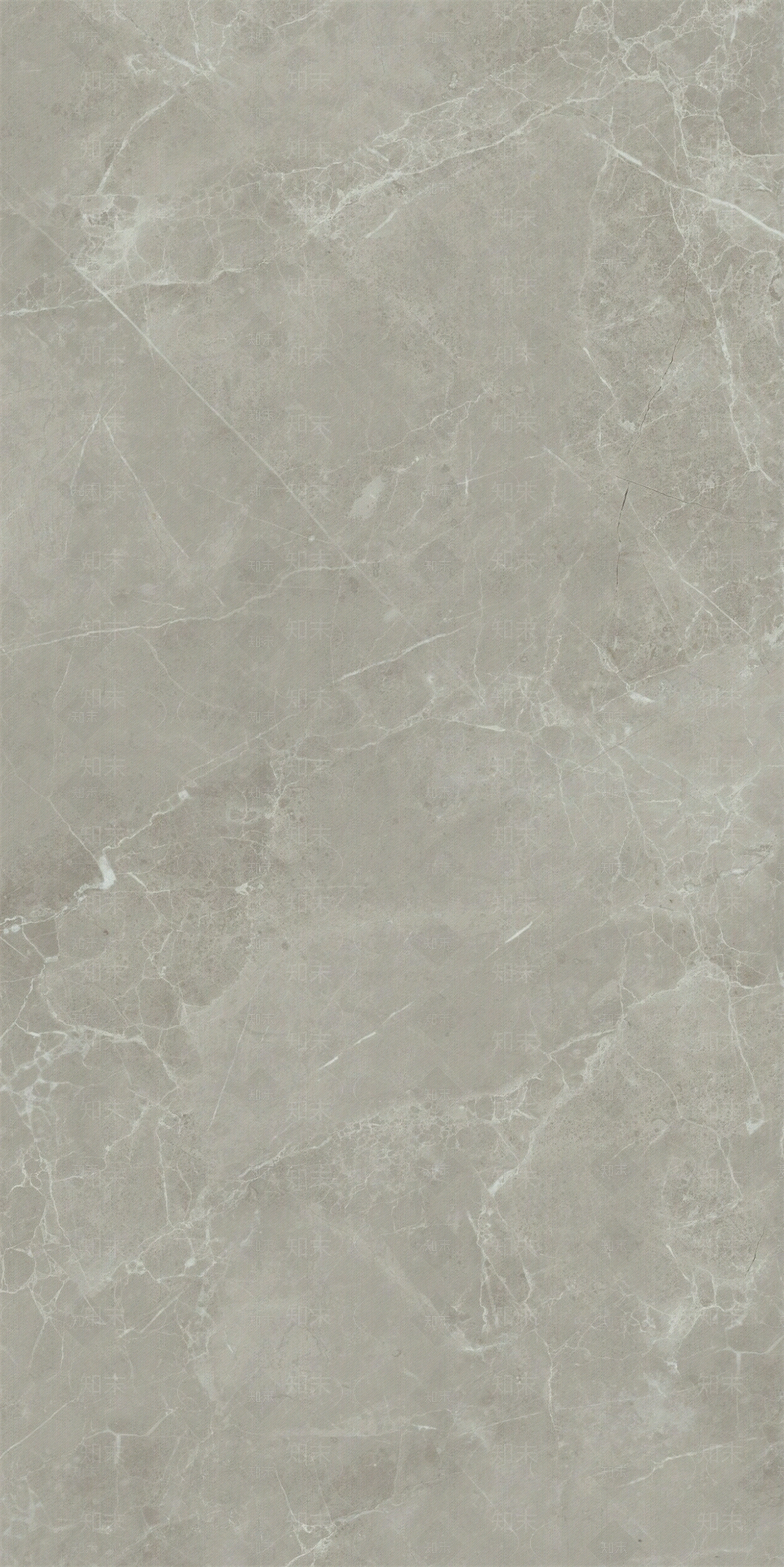 冰啡网浅灰大理石瓷砖贴图下载【ID:1137347100】