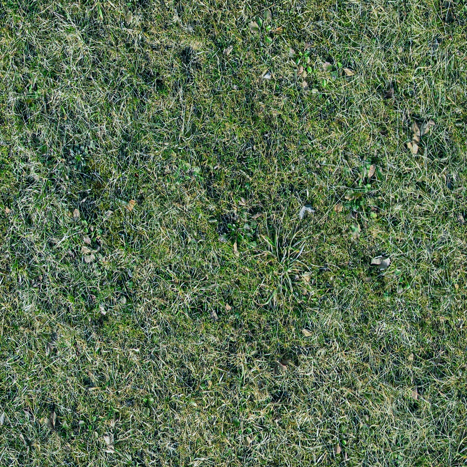 高清绿植墙苔藓植物植被自然草地草坪贴图下载【ID:1137360336】