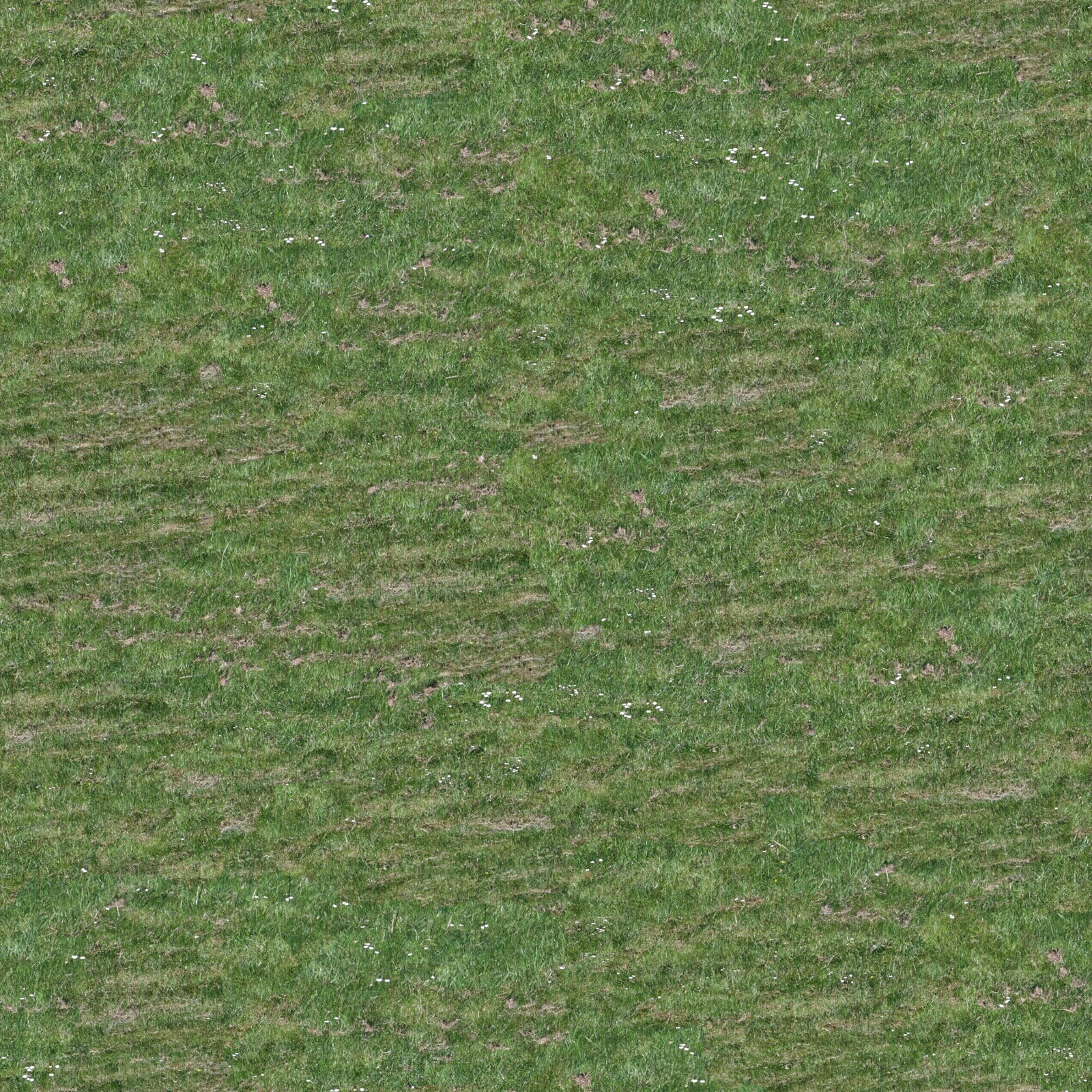 室外野草地草坪草皮外景绿化公园草坪贴图下载【ID:1137360550】