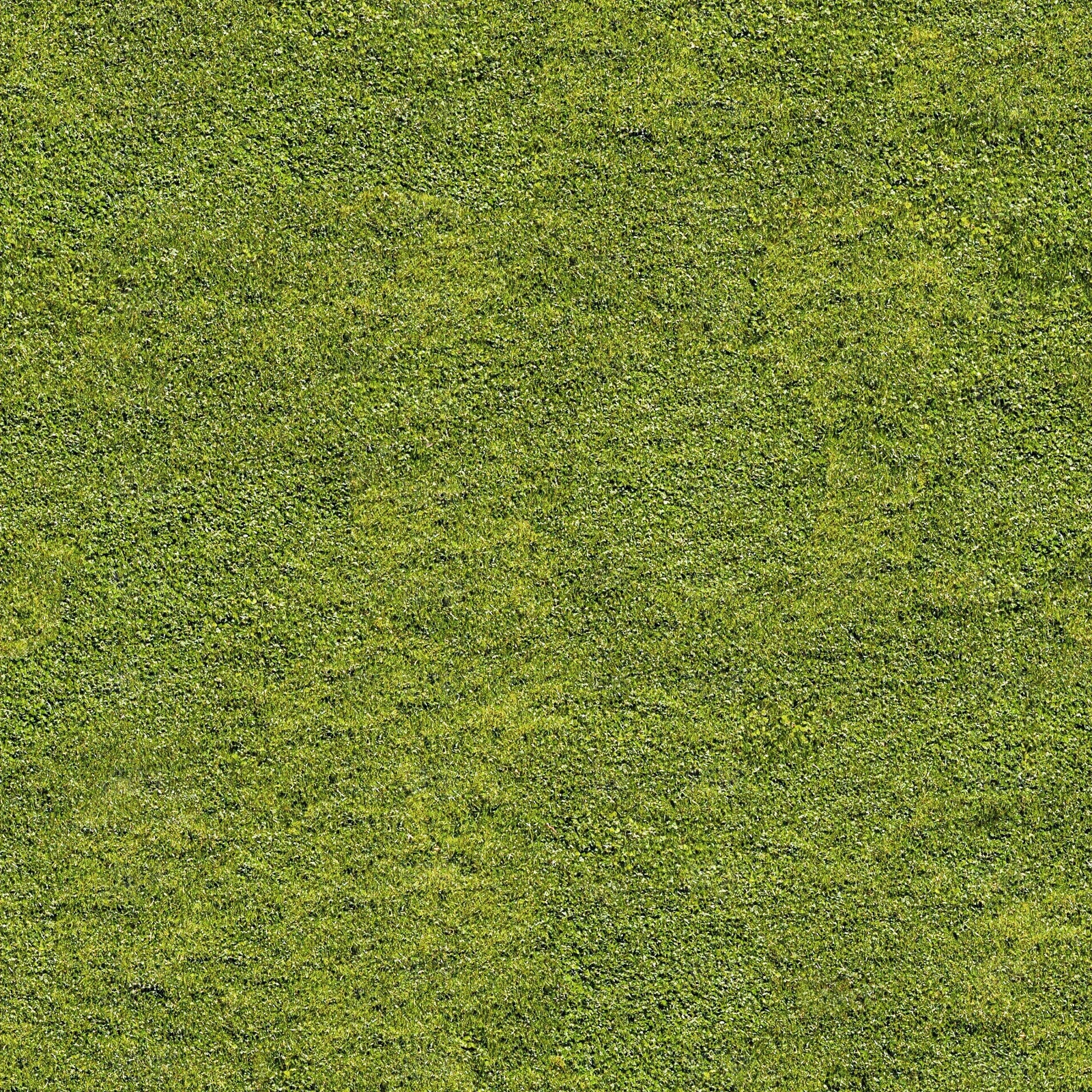 超高清草地草坪草皮植物草丛灌木绿植地面贴图下载【ID:1137360980】