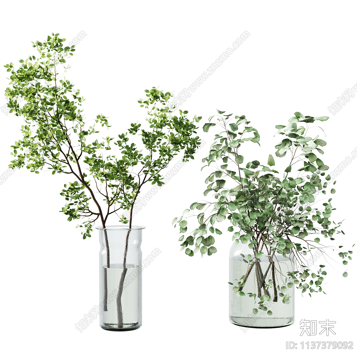 水生植物3D模型下载【ID:1137379092】