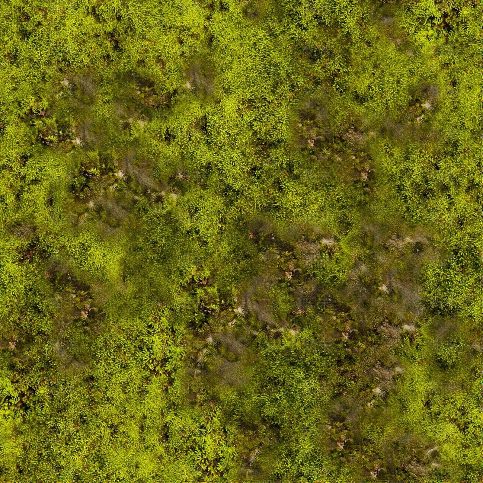 苔藓贴图贴图下载【ID:1195375625】