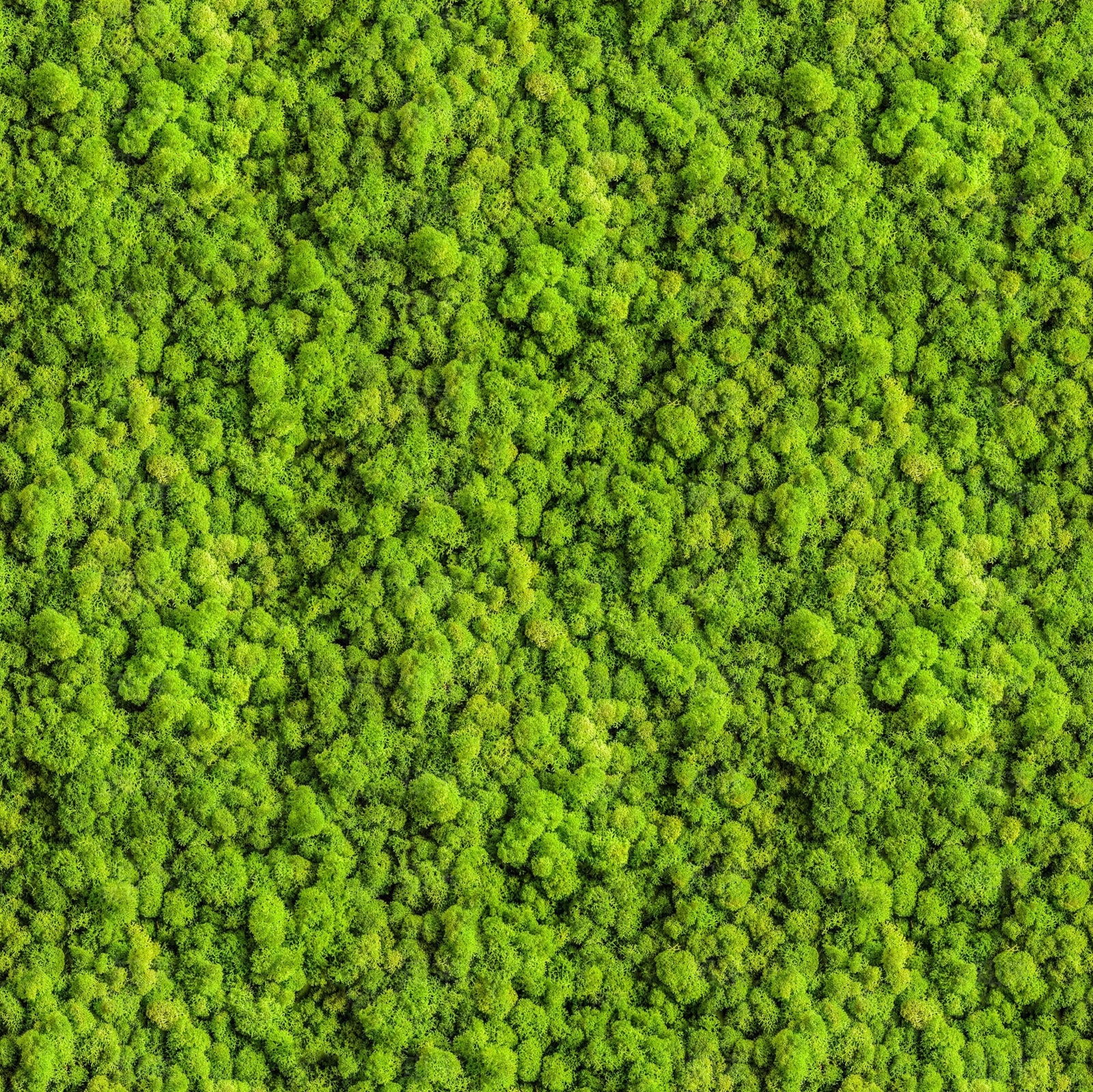 永久苔藓绿植墙贴图下载【ID:1137435392】