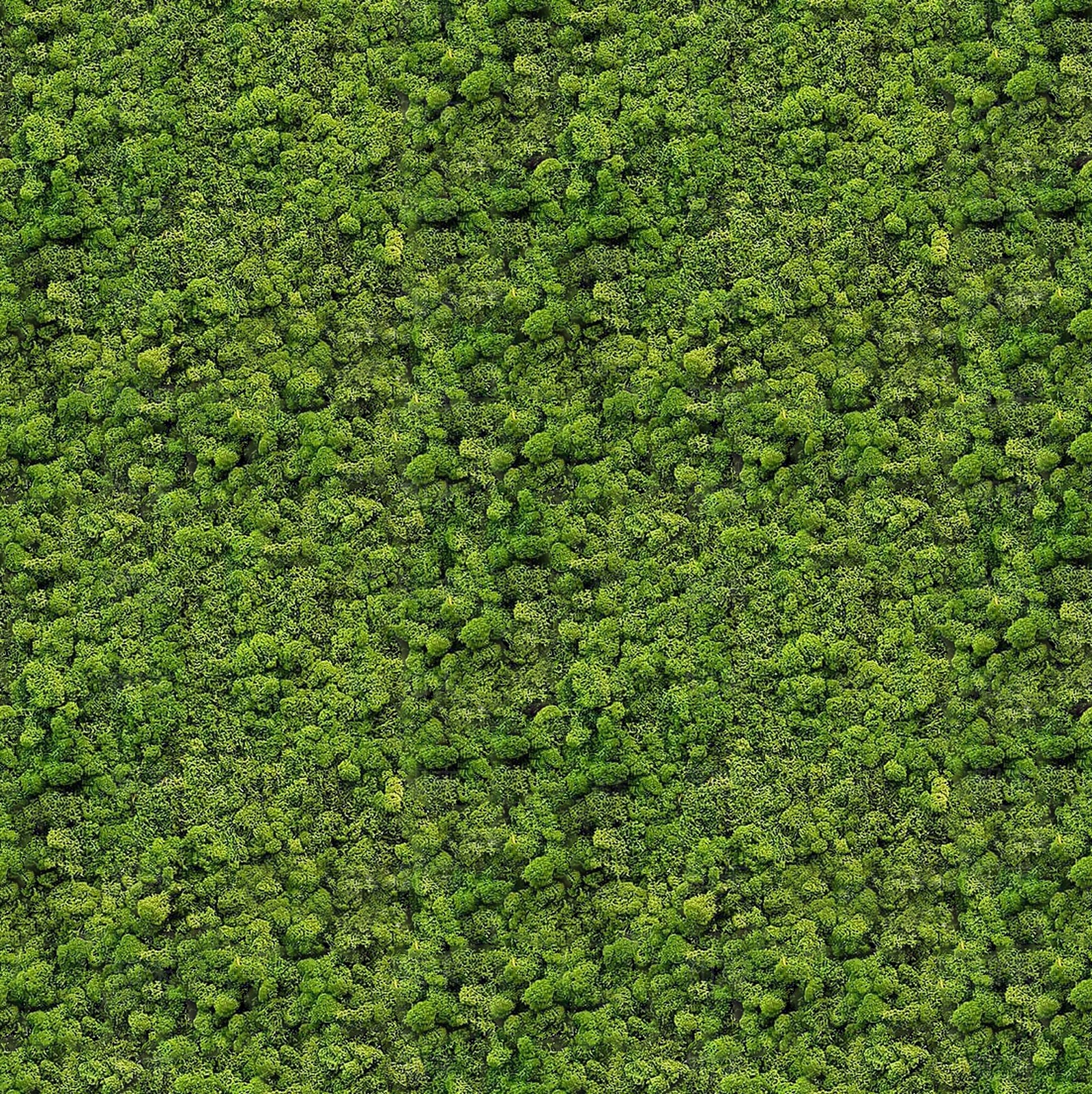 永久苔藓绿植墙贴图下载【ID:1137435591】