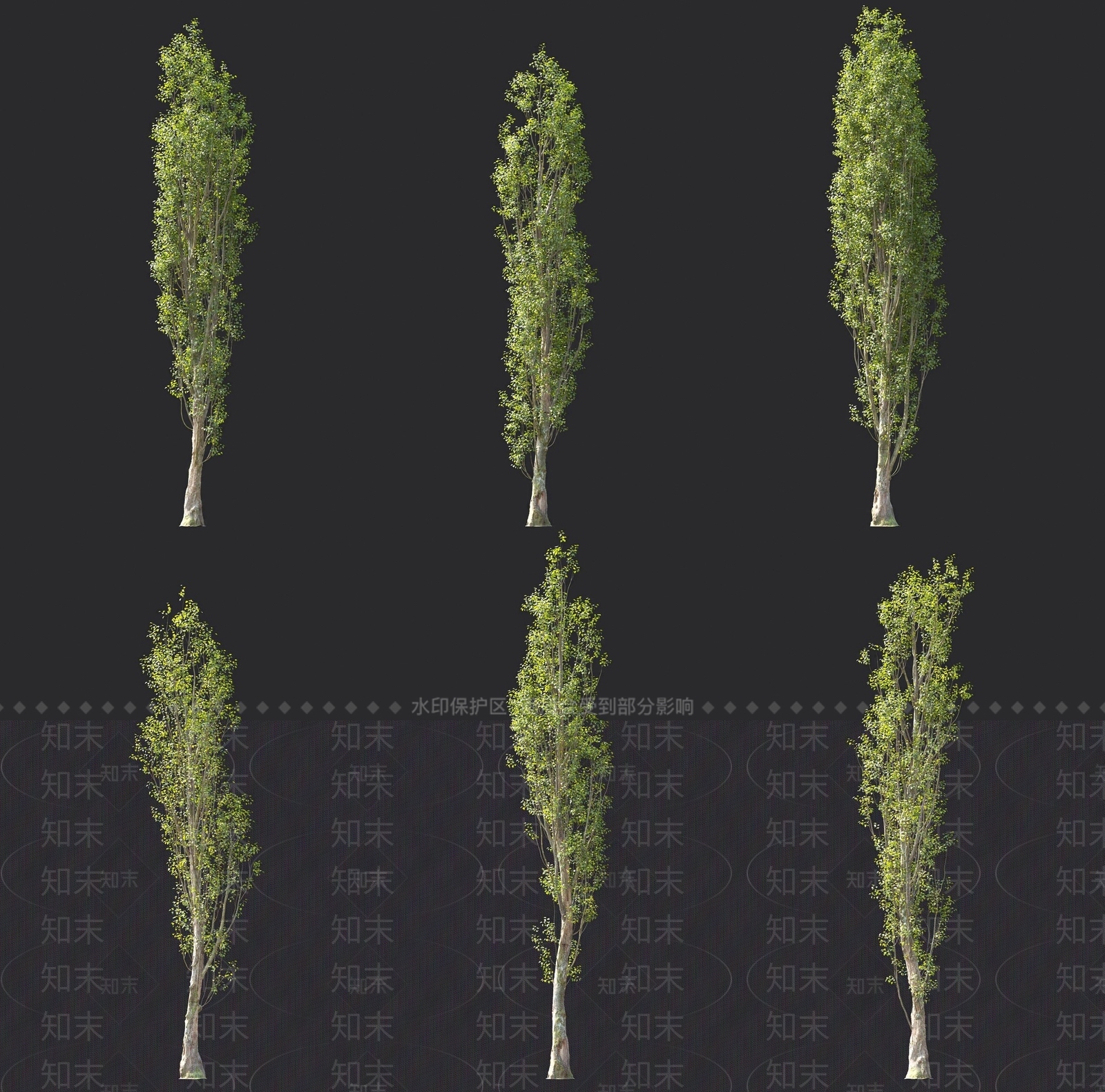黑杨树3D模型下载【ID:1137436397】