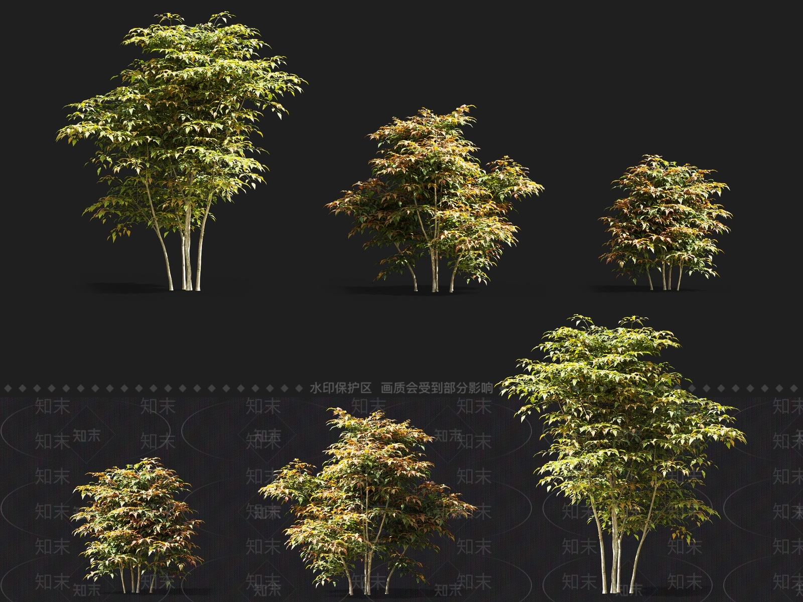 灌木3D模型精品下载_3dmax模型_知末网