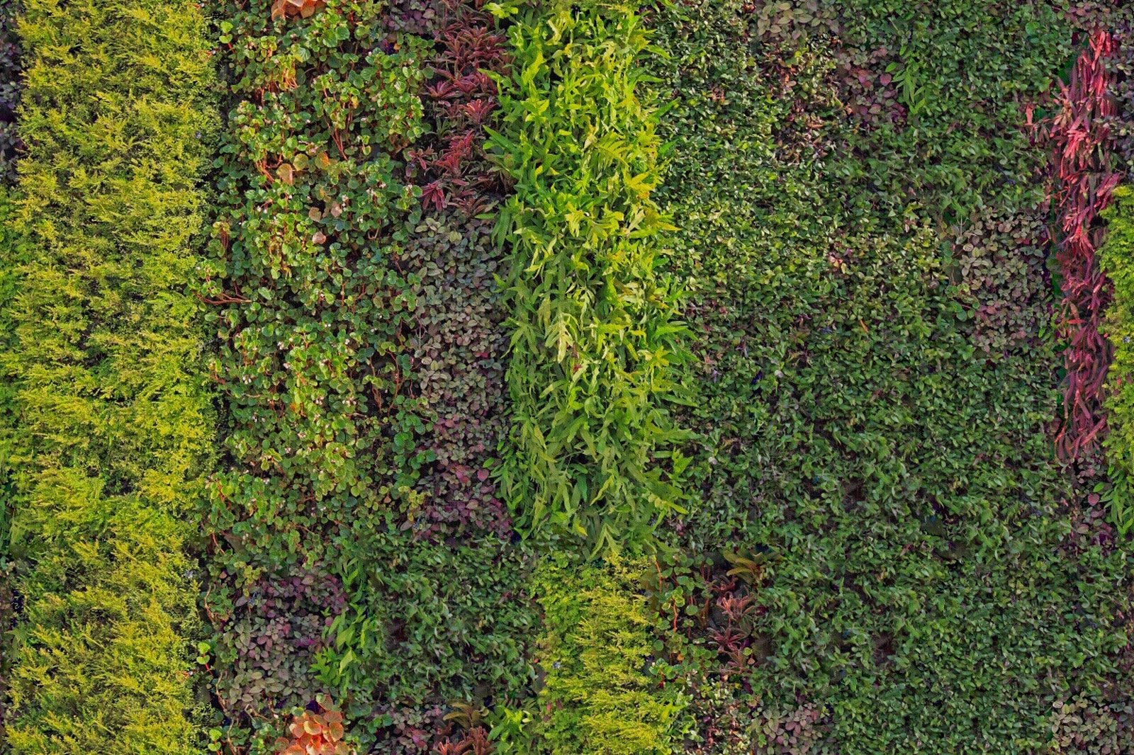 垂直绿植墙贴图下载【ID:1137661790】