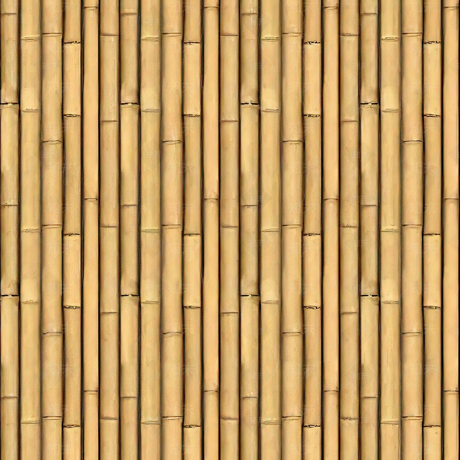 无缝竹子贴图下载【ID:1137739828】