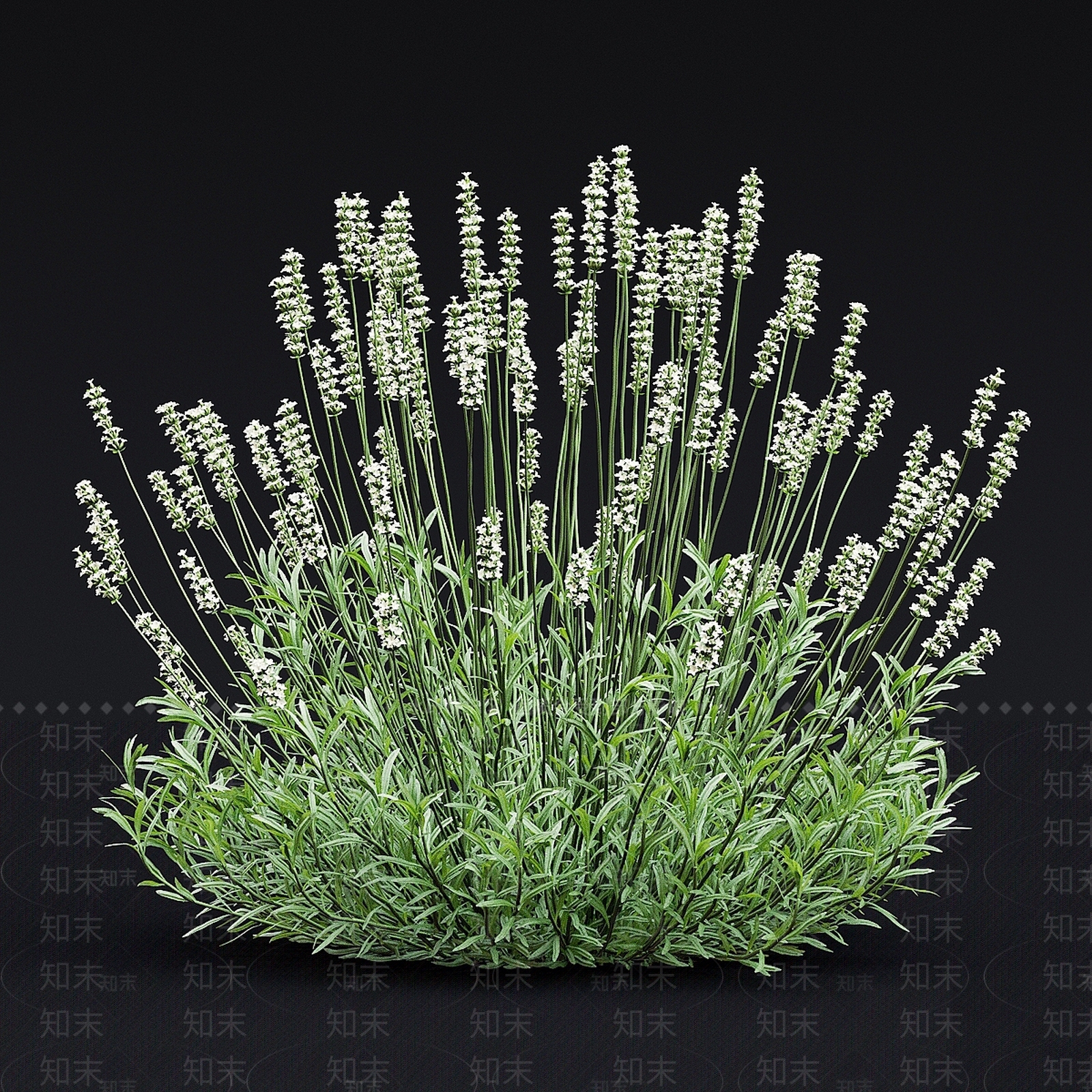现代草丛植物堆3D模型下载【ID:1138342792】