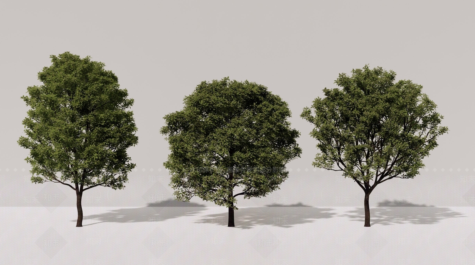 景观行道树SU模型下载【ID:1137832335】