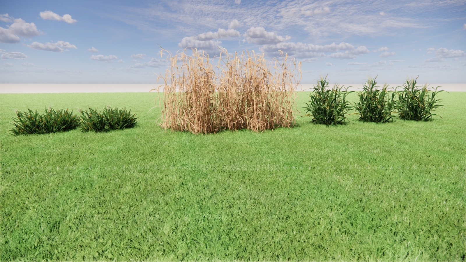 农业大麦SU模型下载【ID:1137836982】