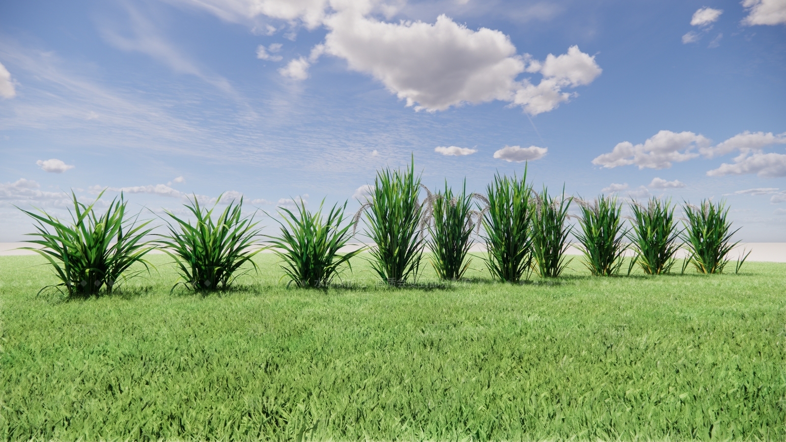 农业水稻SU模型下载【ID:1137837659】