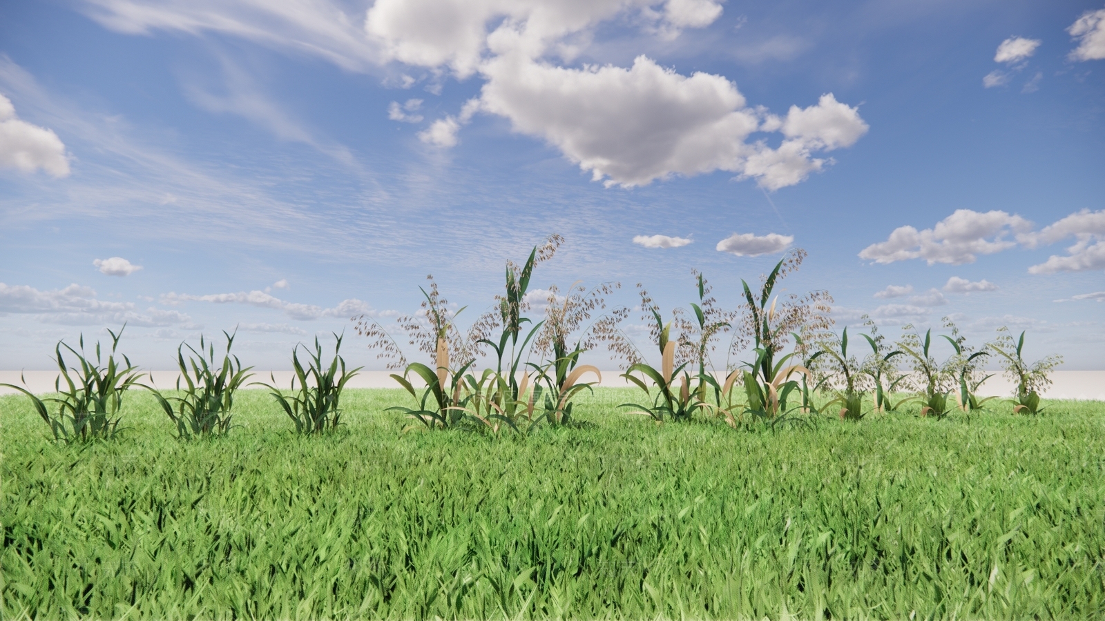 农业燕麦SU模型下载【ID:1137837721】