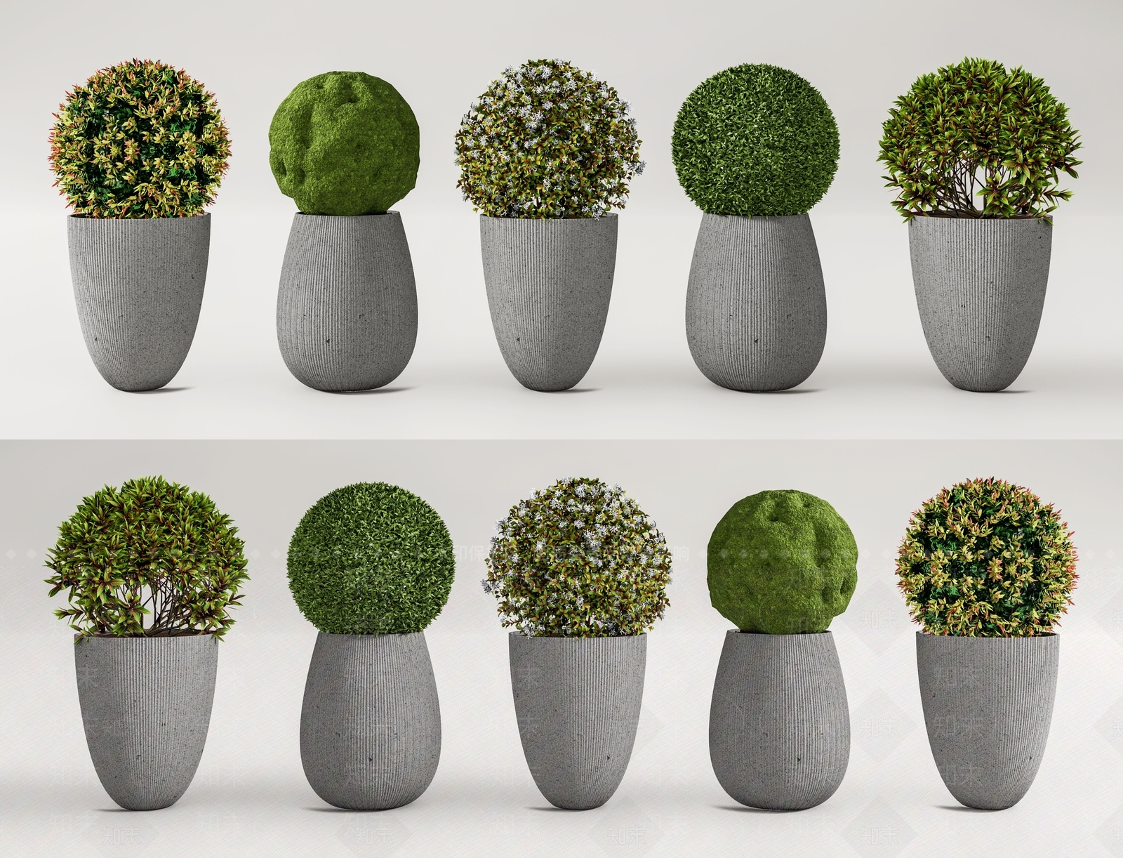 绿篱球盆栽3D模型下载【ID:1137842074】