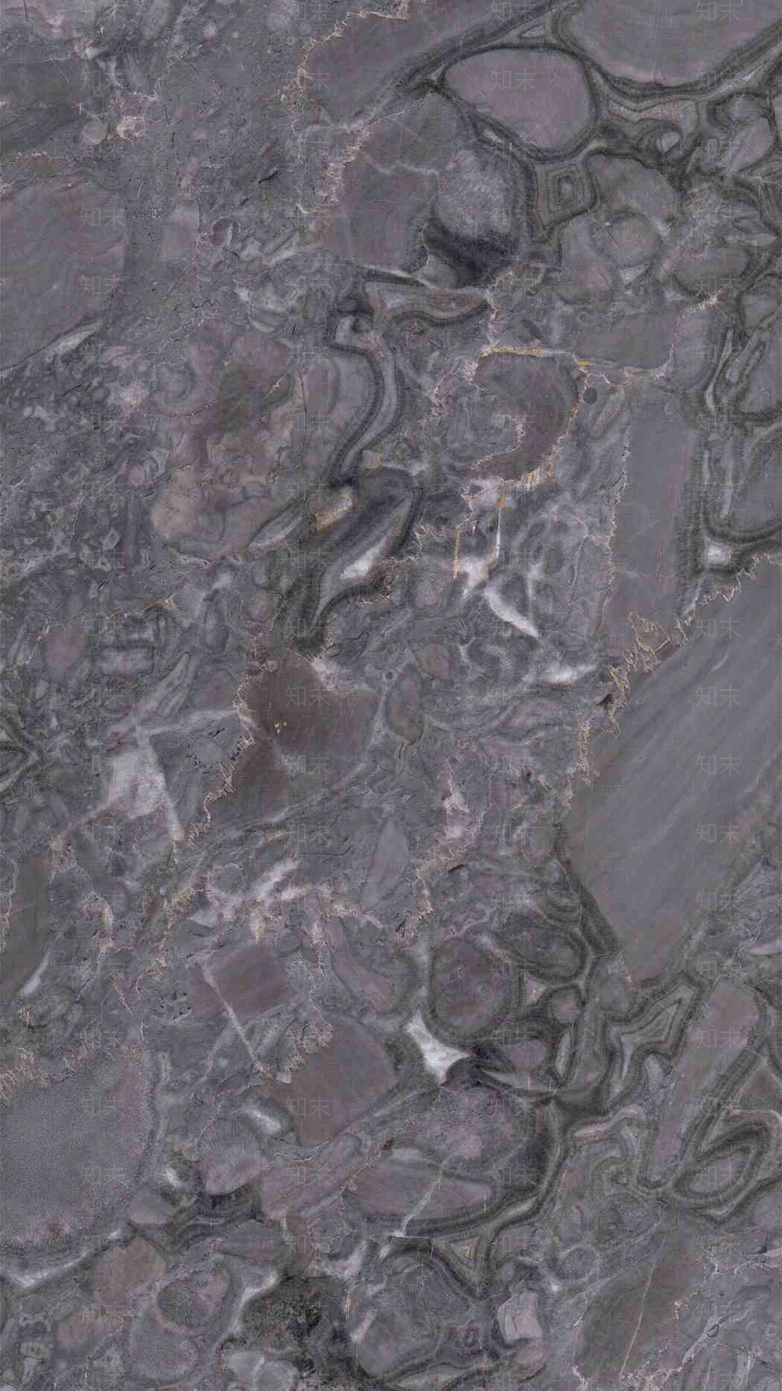 灰色大理石化石贴图下载【ID:1137850504】