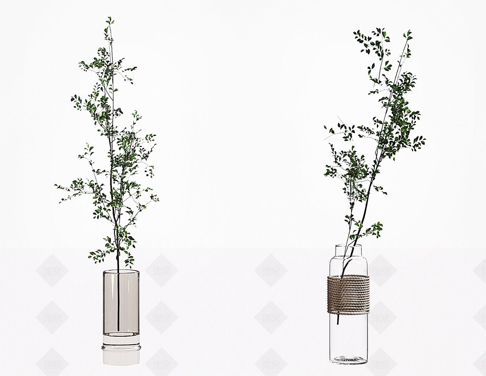 水生植物3D模型下载【ID:1137868233】