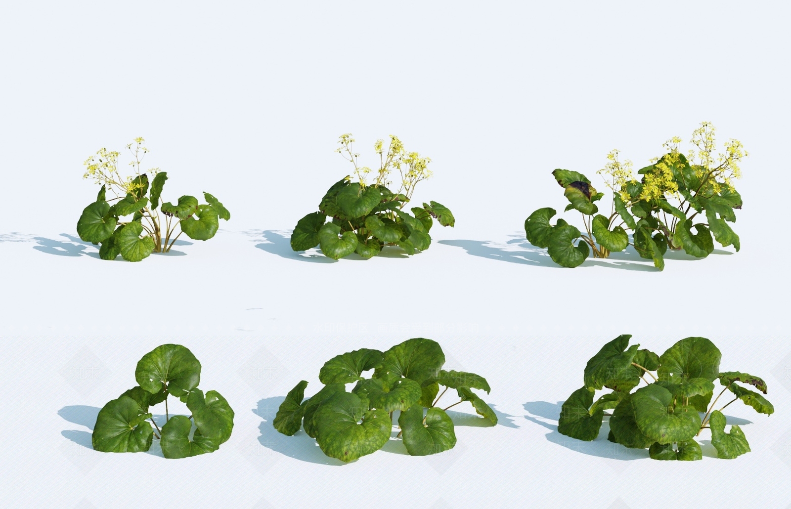 草3D模型下载【ID:1137872180】