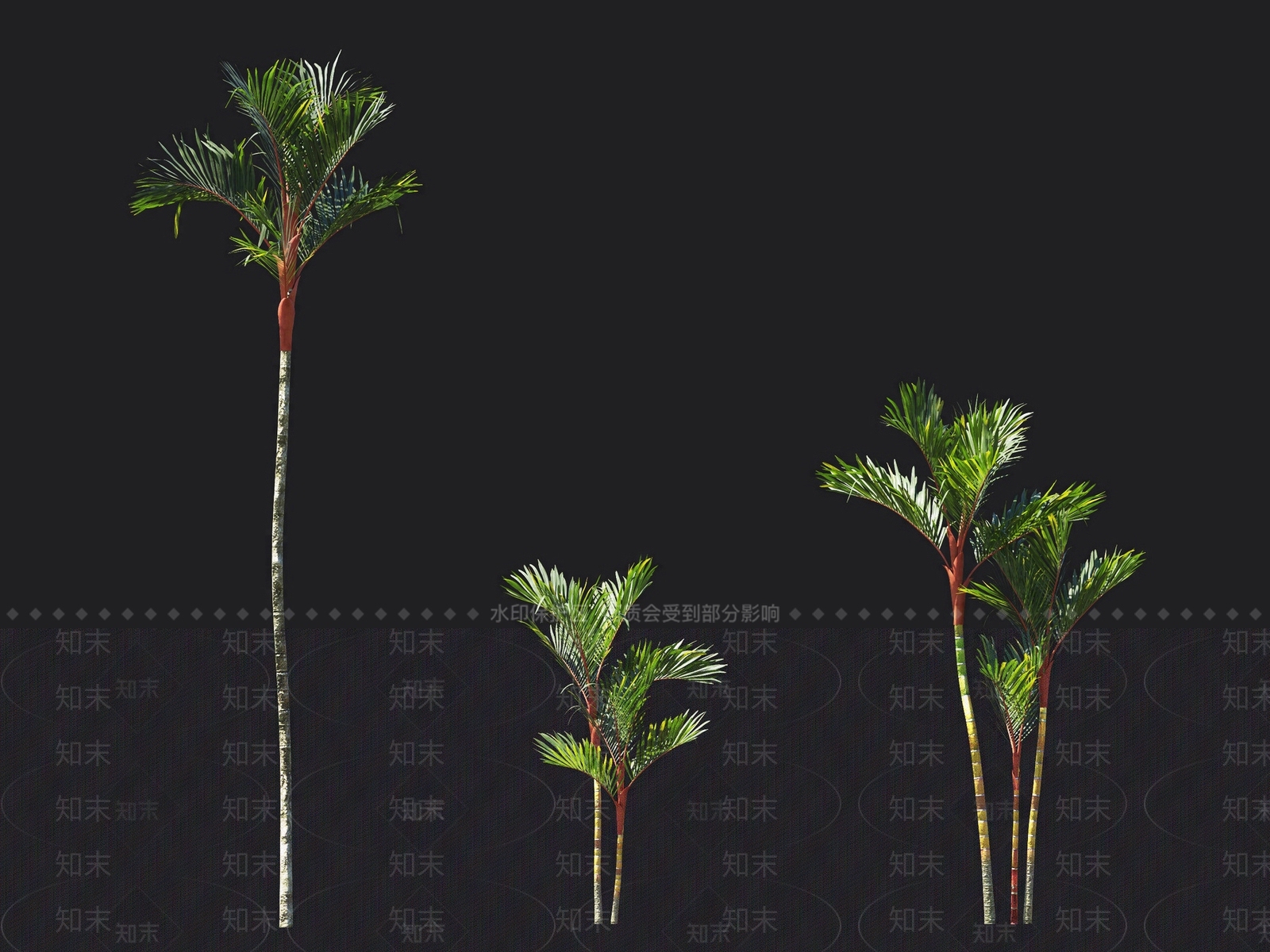 红椰子3D模型下载【ID:1137878257】