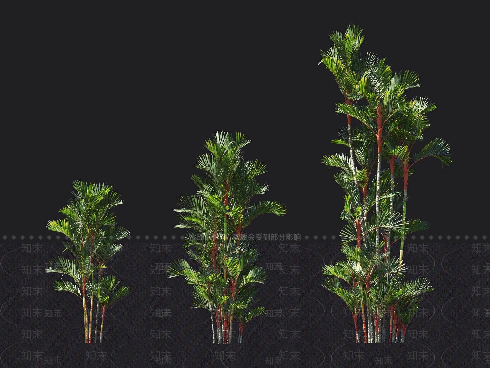 红椰子3D模型下载【ID:1137878234】