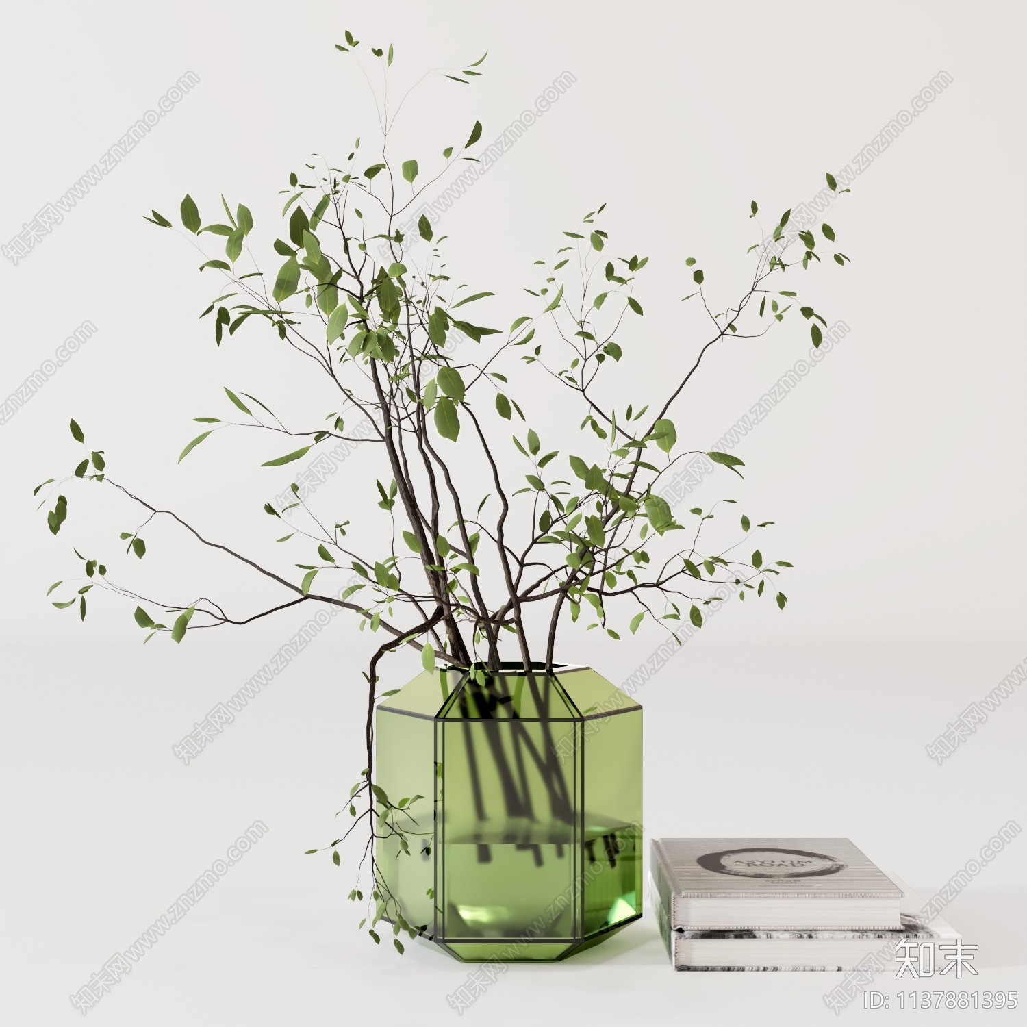 水生植物3D模型下载【ID:1137881395】