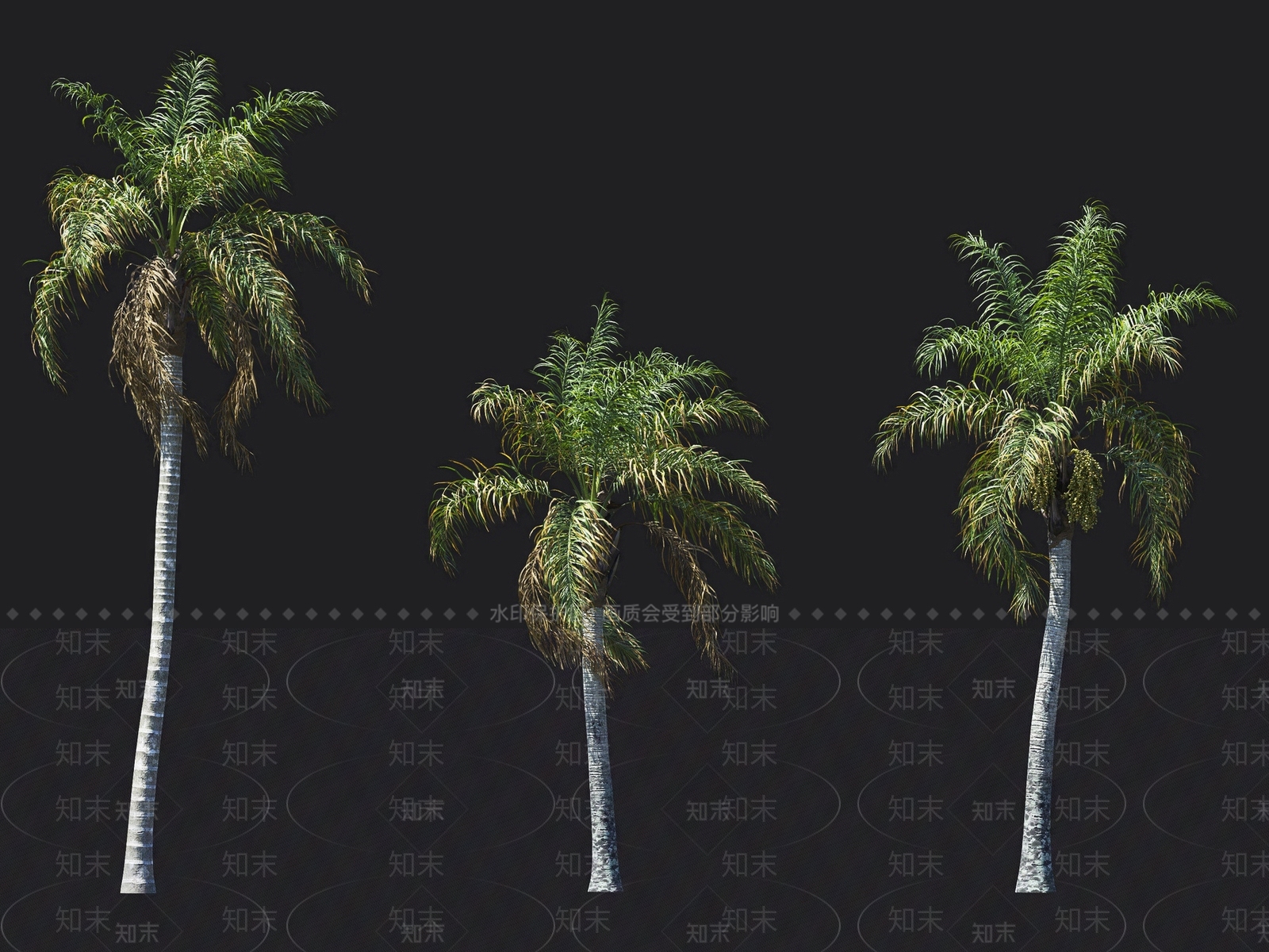 皇后葵3D模型下载【ID:1137883112】