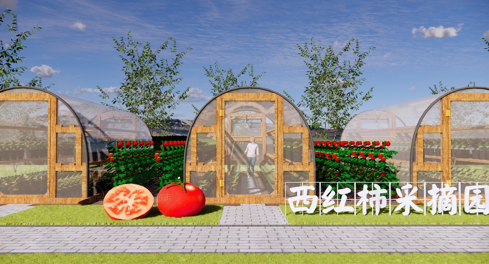 现代西红柿种植大棚SU模型下载【ID:1137928249】