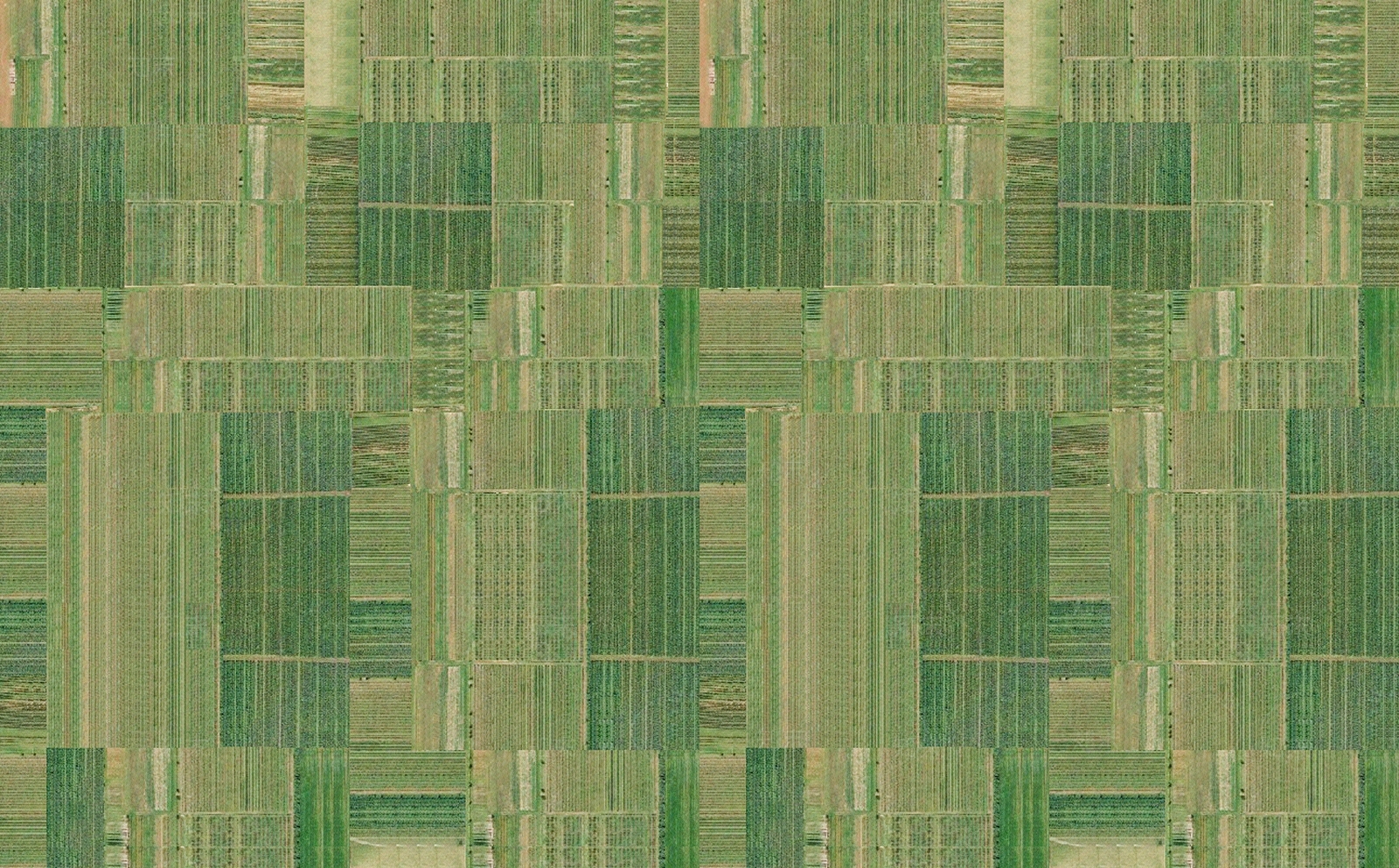 无缝绿色草坪草地草皮农田村庄地面规划卫星图贴图下载【ID:1137959605】