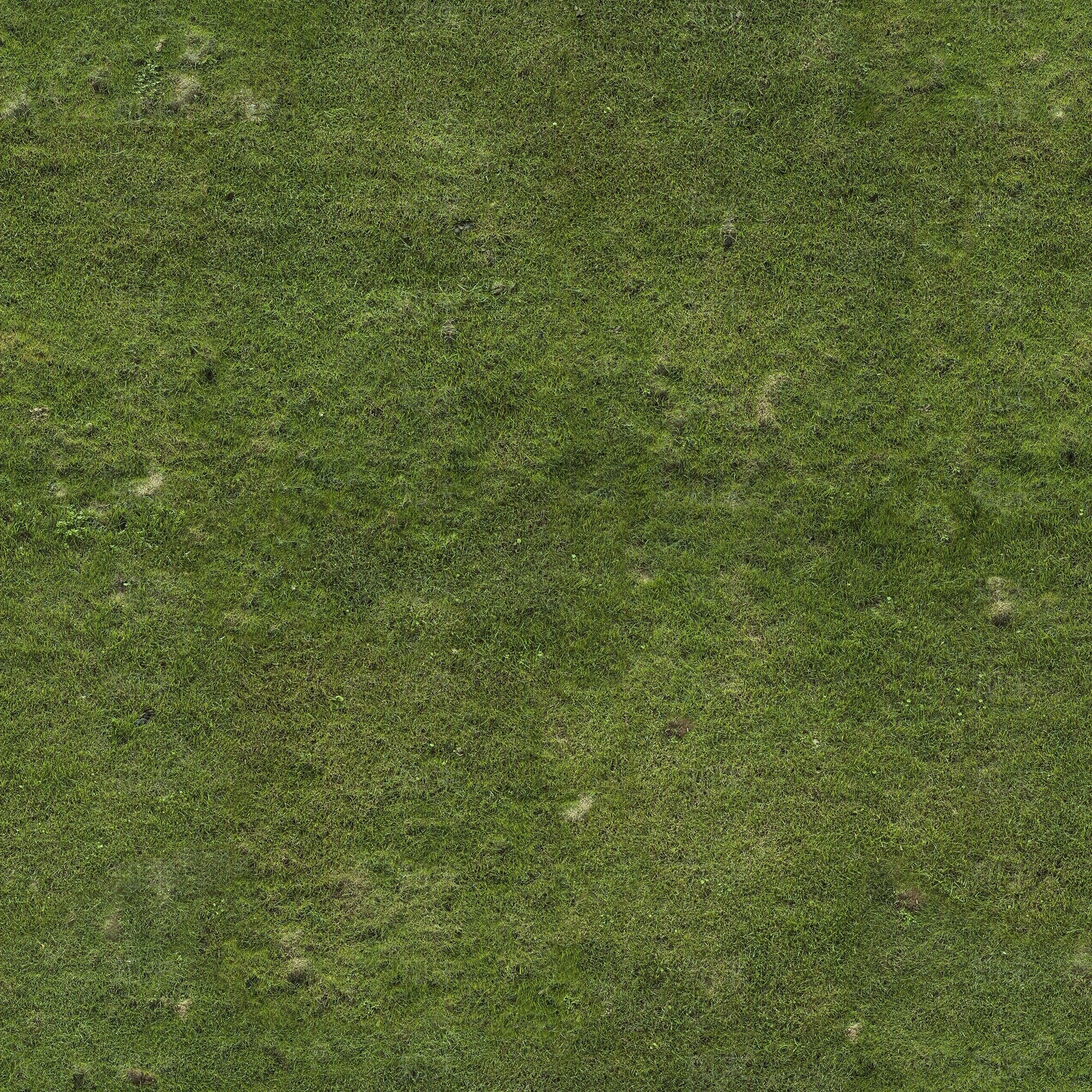 户外真实草地绿色草坪草地野草地纹理自然草地贴图下载【ID:1137967827】