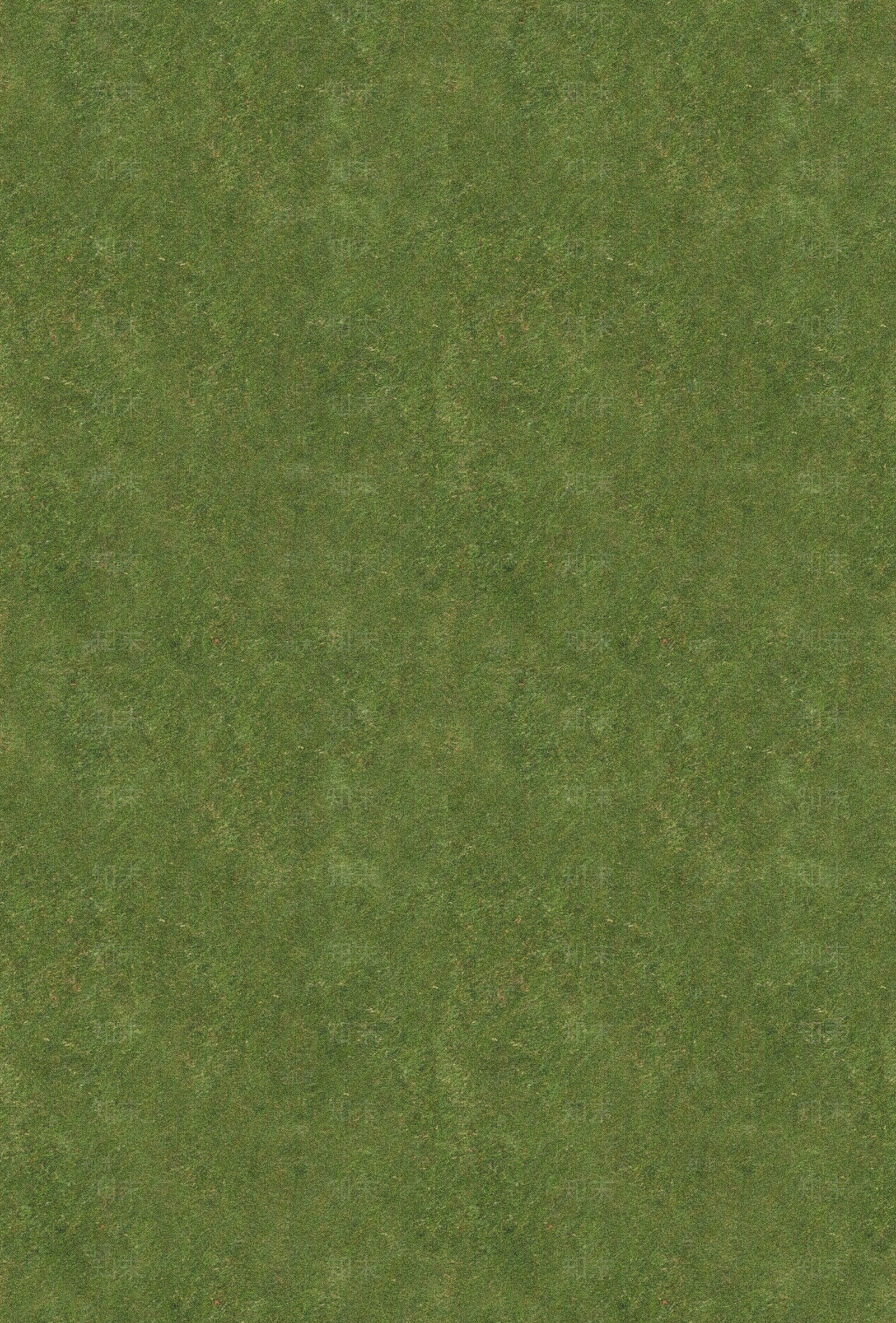 真实室外场景草坪草地黄绿色自然草皮草坪贴图下载【ID:1137968048】