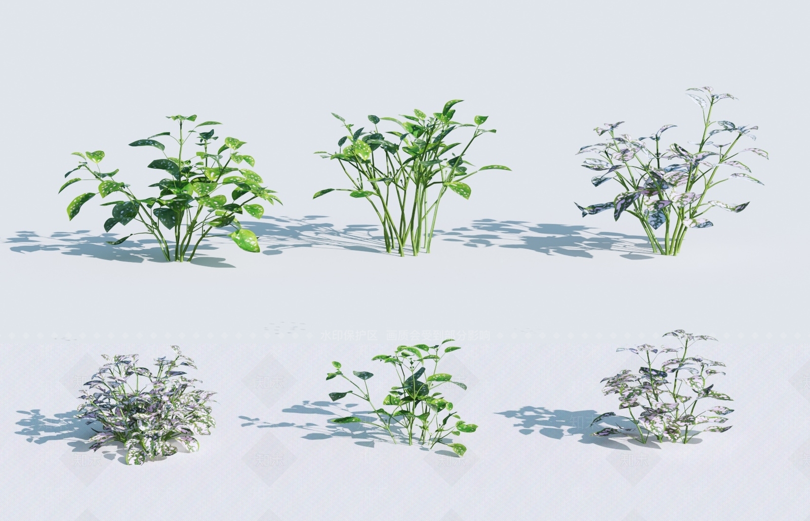草3D模型下载【ID:1137981971】
